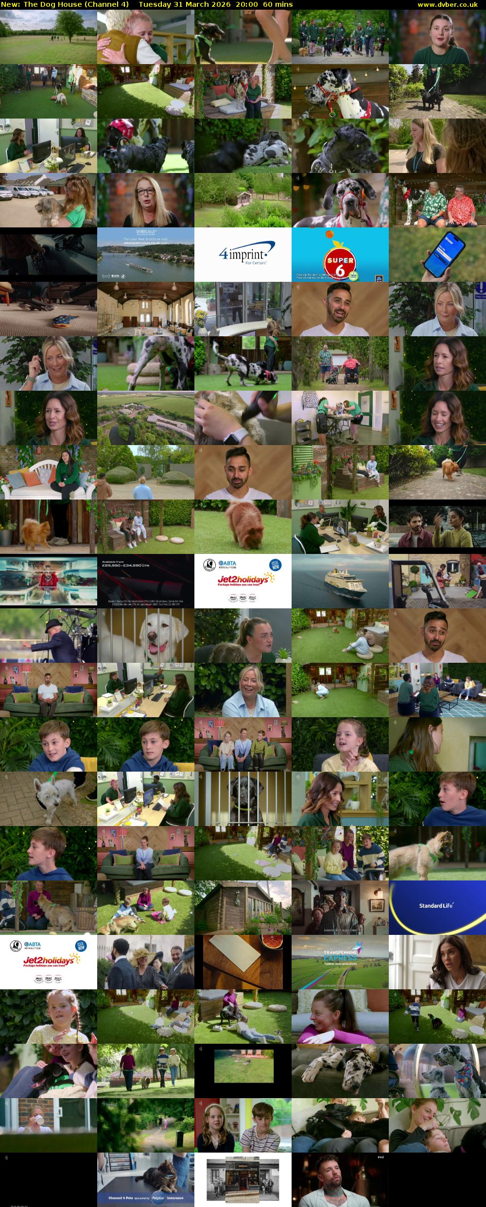 The Dog House (Channel 4) Tuesday 31 March 2026 20:00 - 21:00