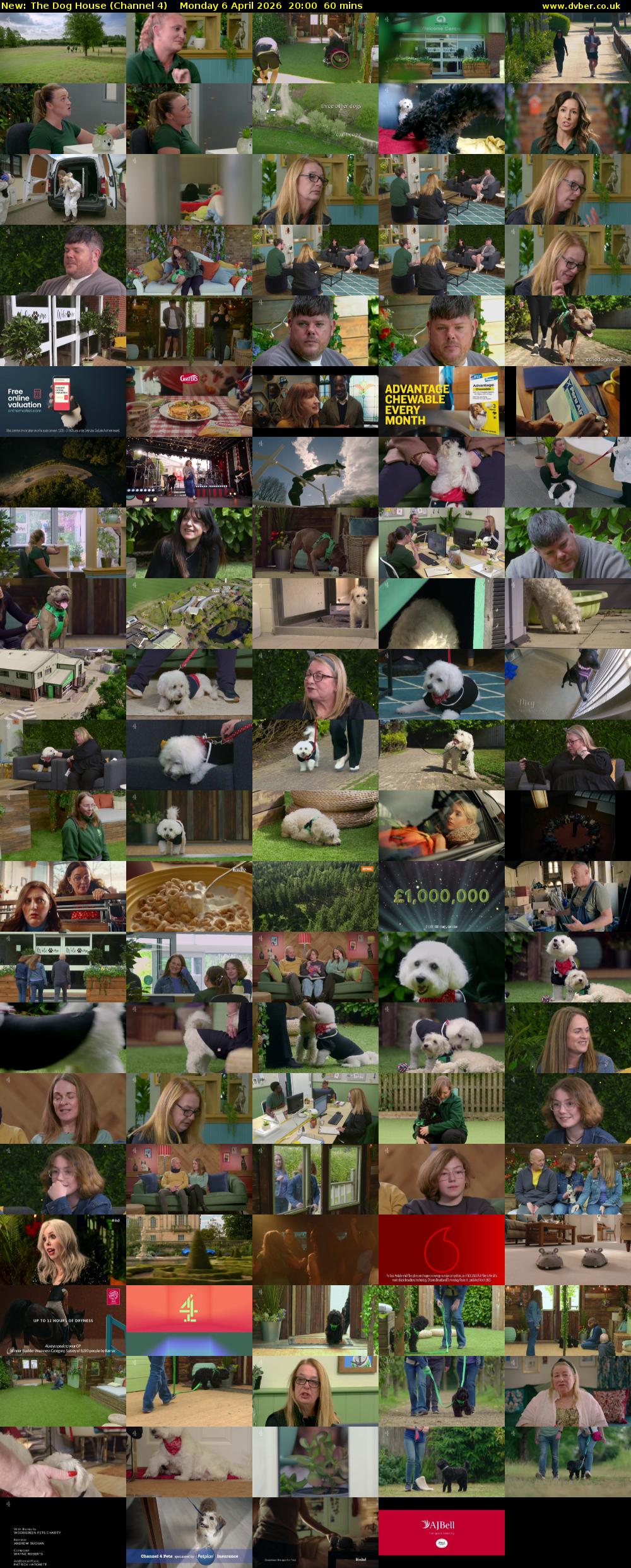 The Dog House (Channel 4) Monday 6 April 2026 20:00 - 21:00