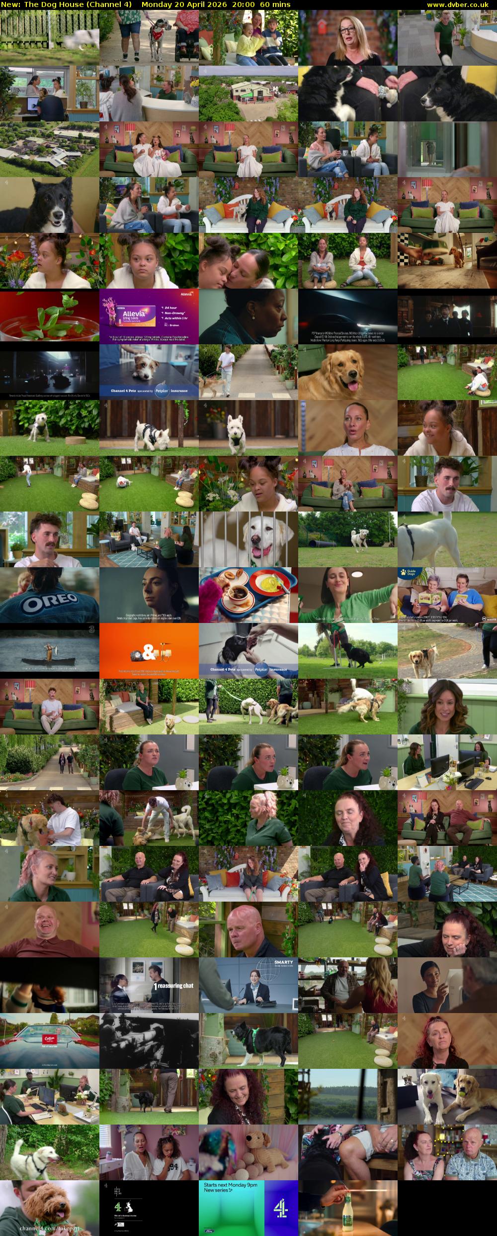 The Dog House (Channel 4) Monday 20 April 2026 20:00 - 21:00