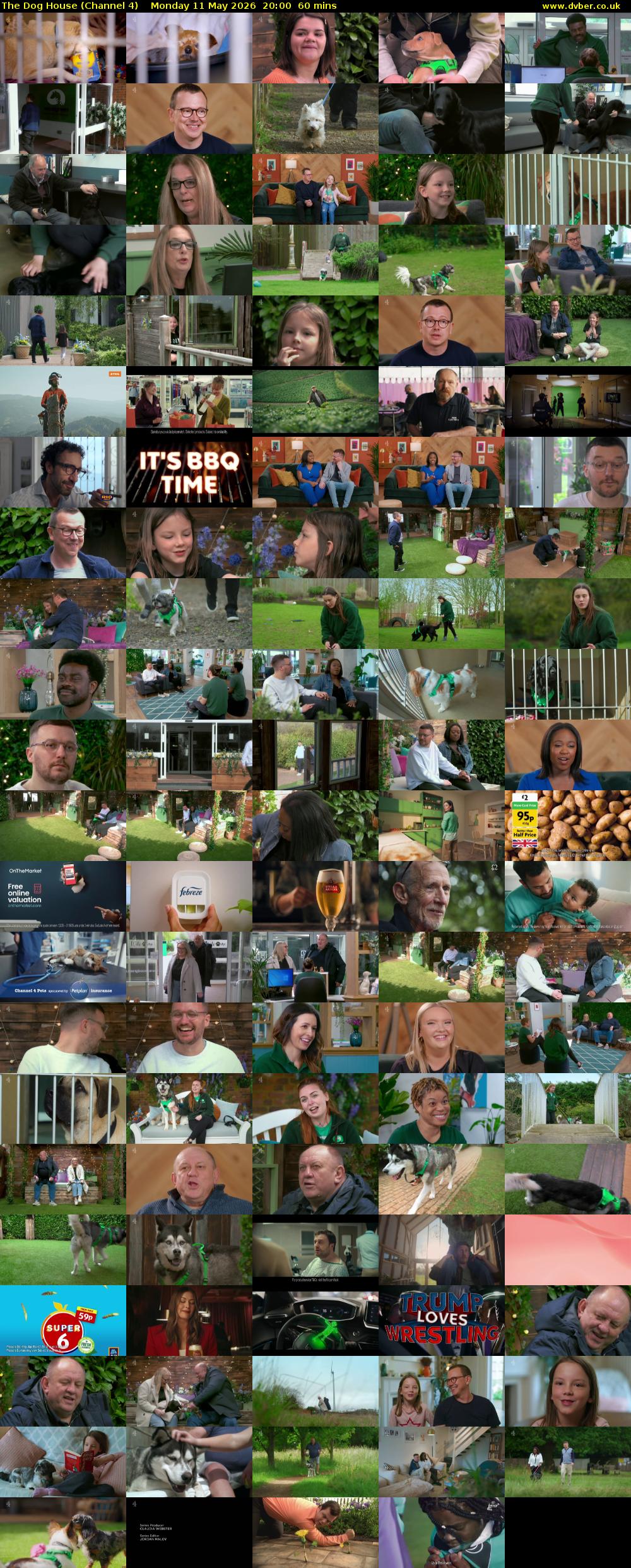 The Dog House (Channel 4) Monday 11 May 2026 20:00 - 21:00