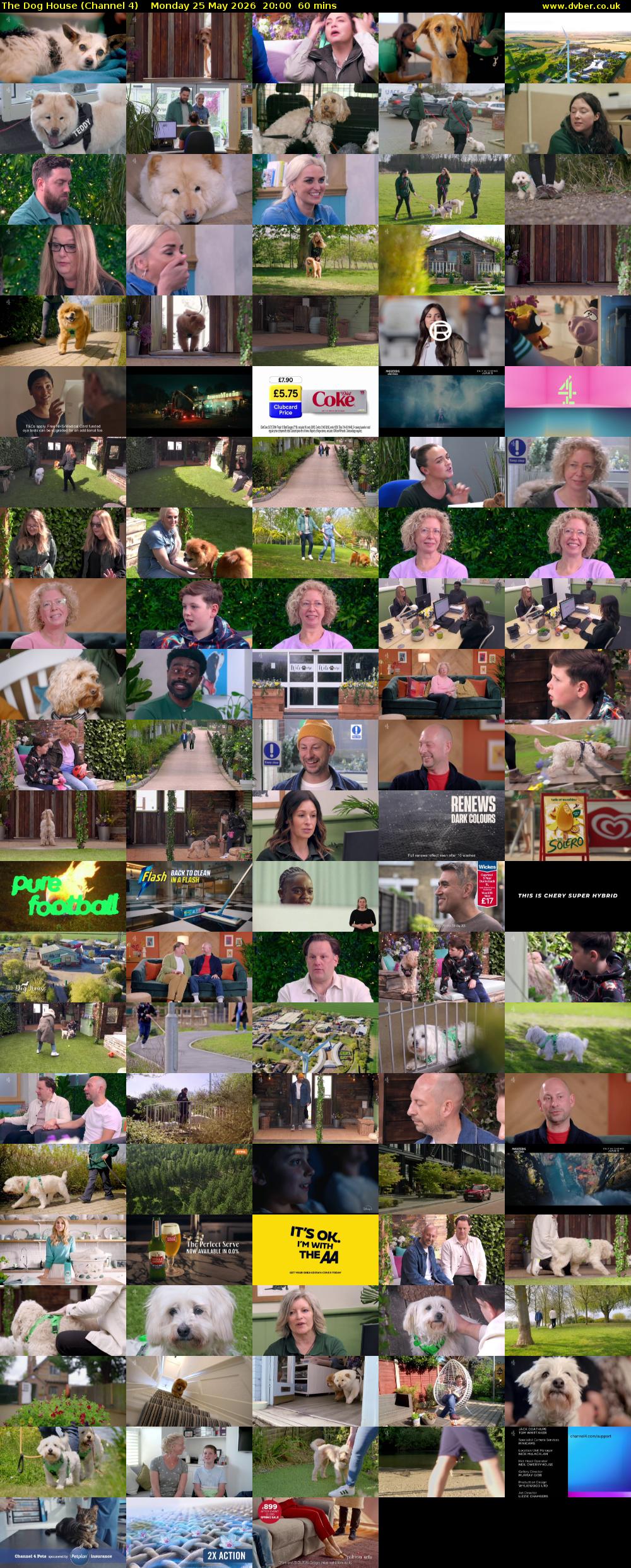 The Dog House (Channel 4) Monday 25 May 2026 20:00 - 21:00