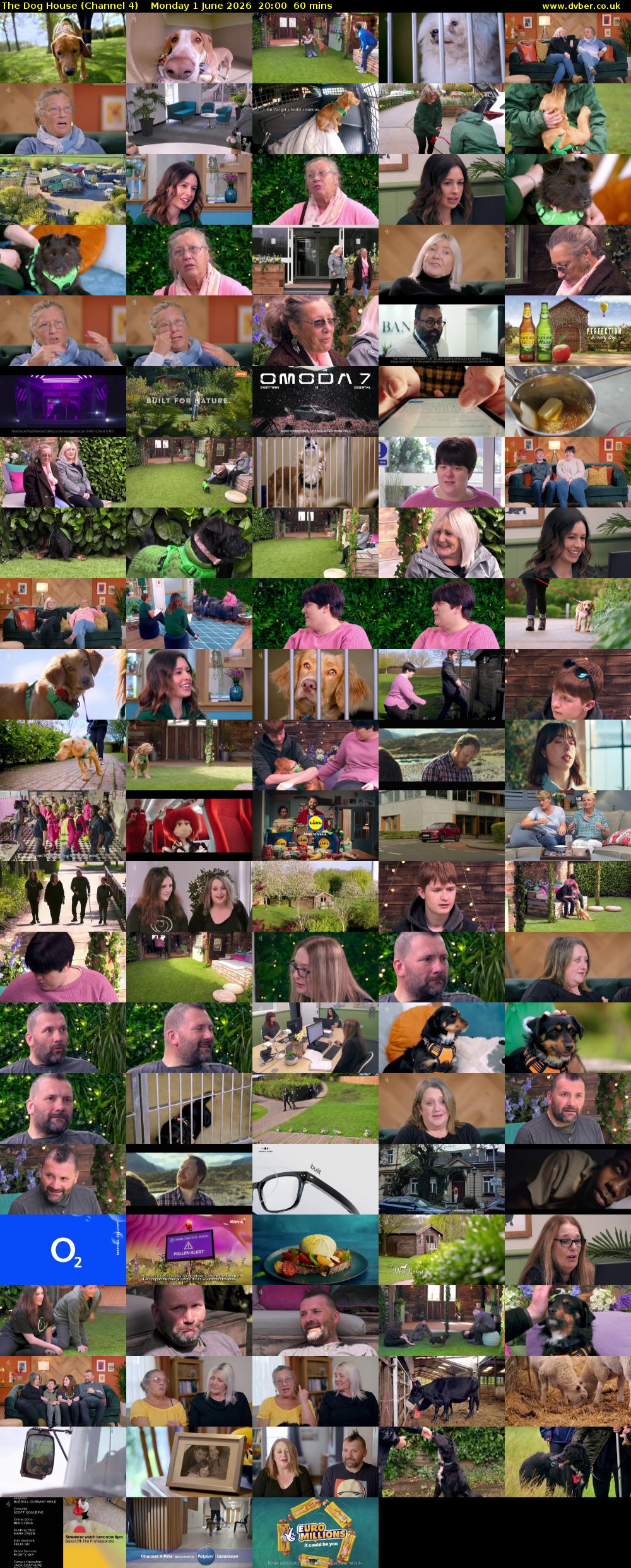 The Dog House (Channel 4) Monday 1 June 2026 20:00 - 21:00