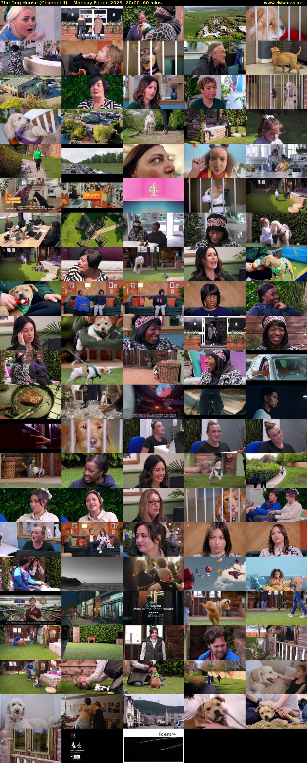 The Dog House (Channel 4) Monday 8 June 2026 20:00 - 21:00