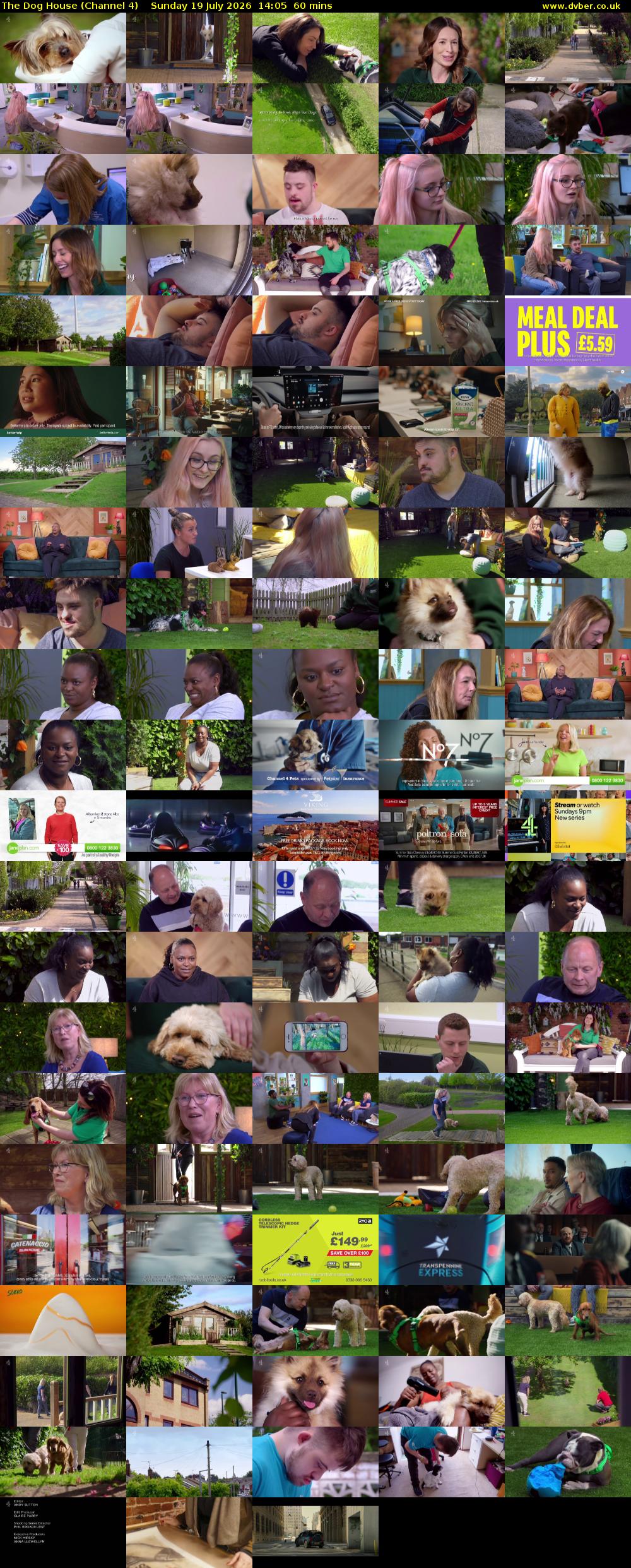 The Dog House (Channel 4) Sunday 19 July 2026 14:05 - 15:05