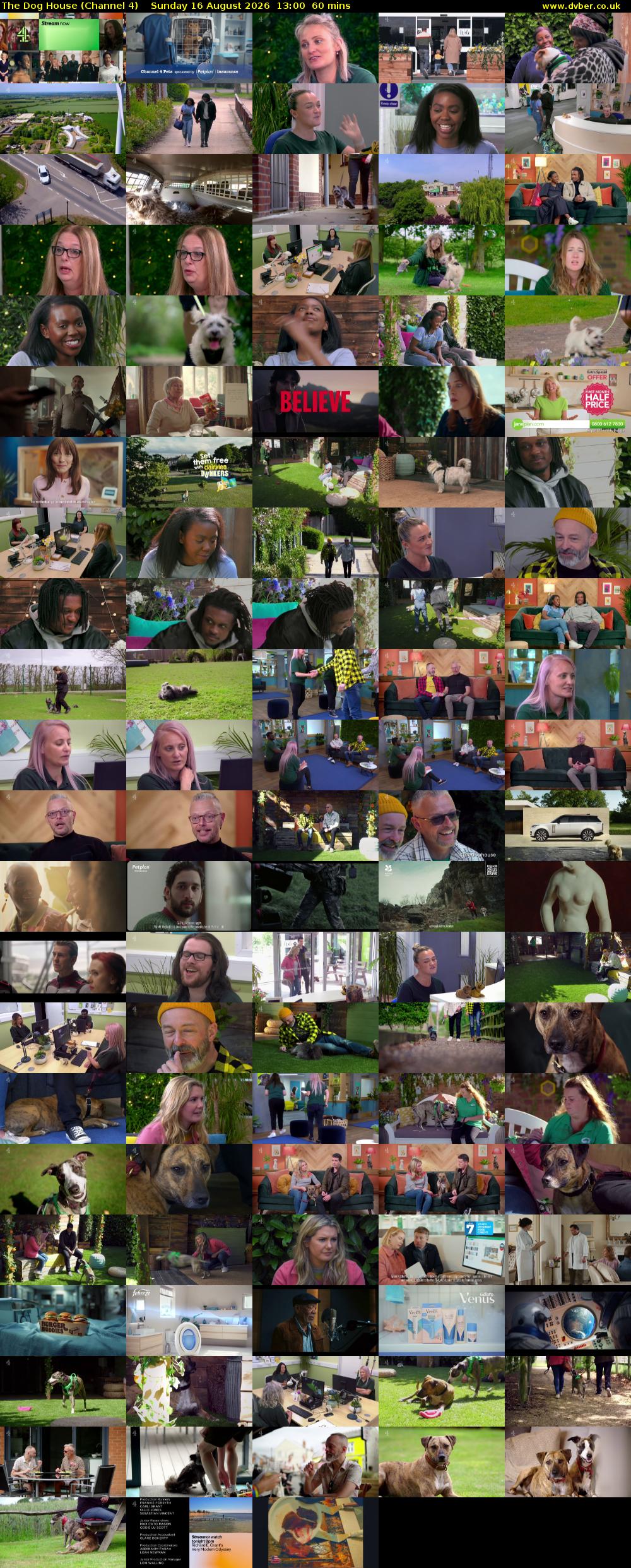 The Dog House (Channel 4) Sunday 16 August 2026 13:00 - 14:00