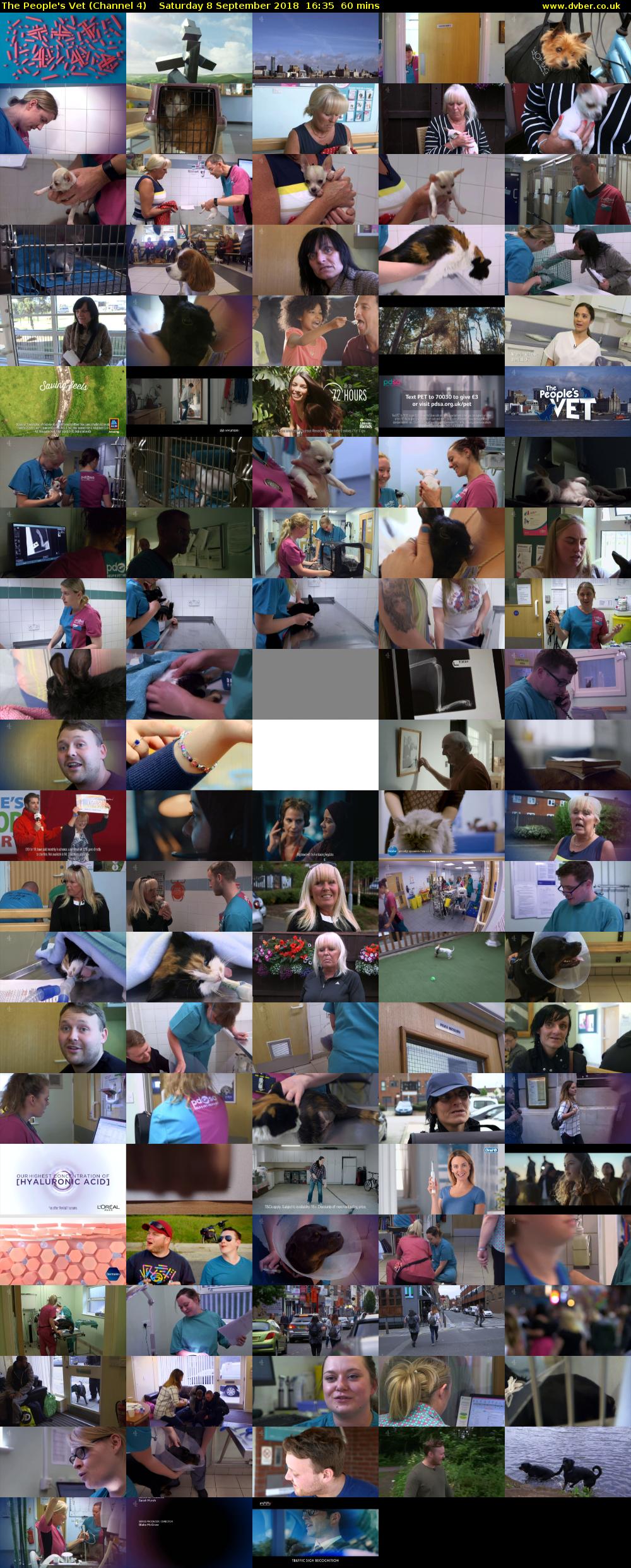 The People's Vet (Channel 4) Saturday 8 September 2018 16:35 - 17:35
