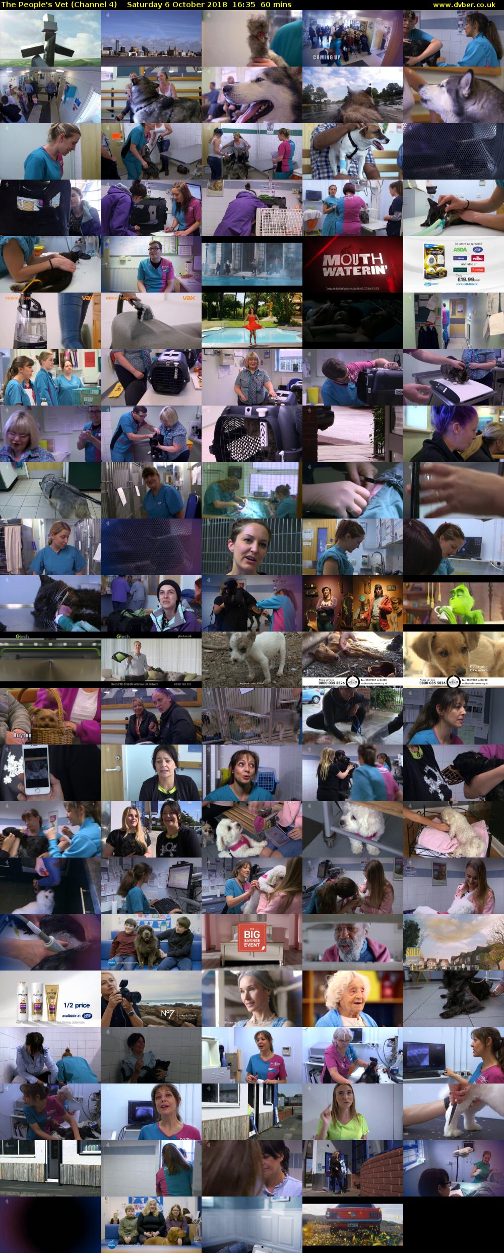 The People's Vet (Channel 4) Saturday 6 October 2018 16:35 - 17:35