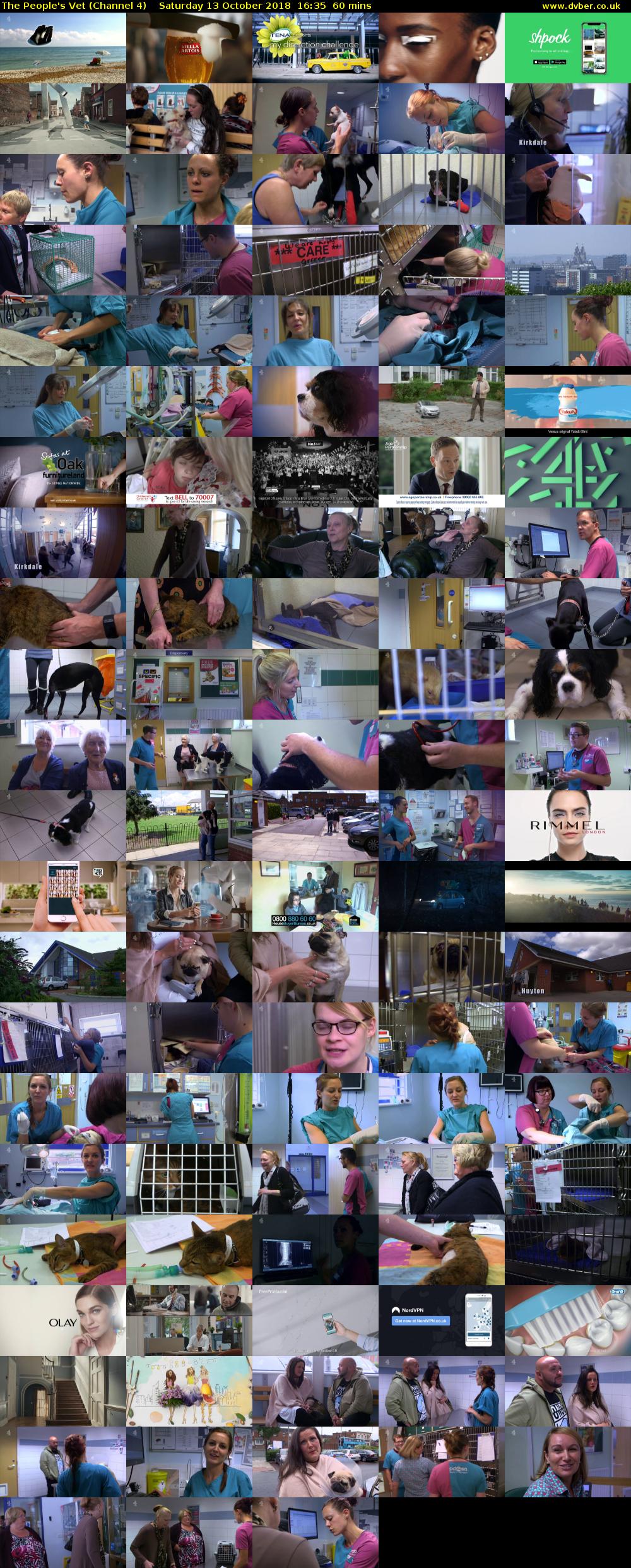 The People's Vet (Channel 4) Saturday 13 October 2018 16:35 - 17:35