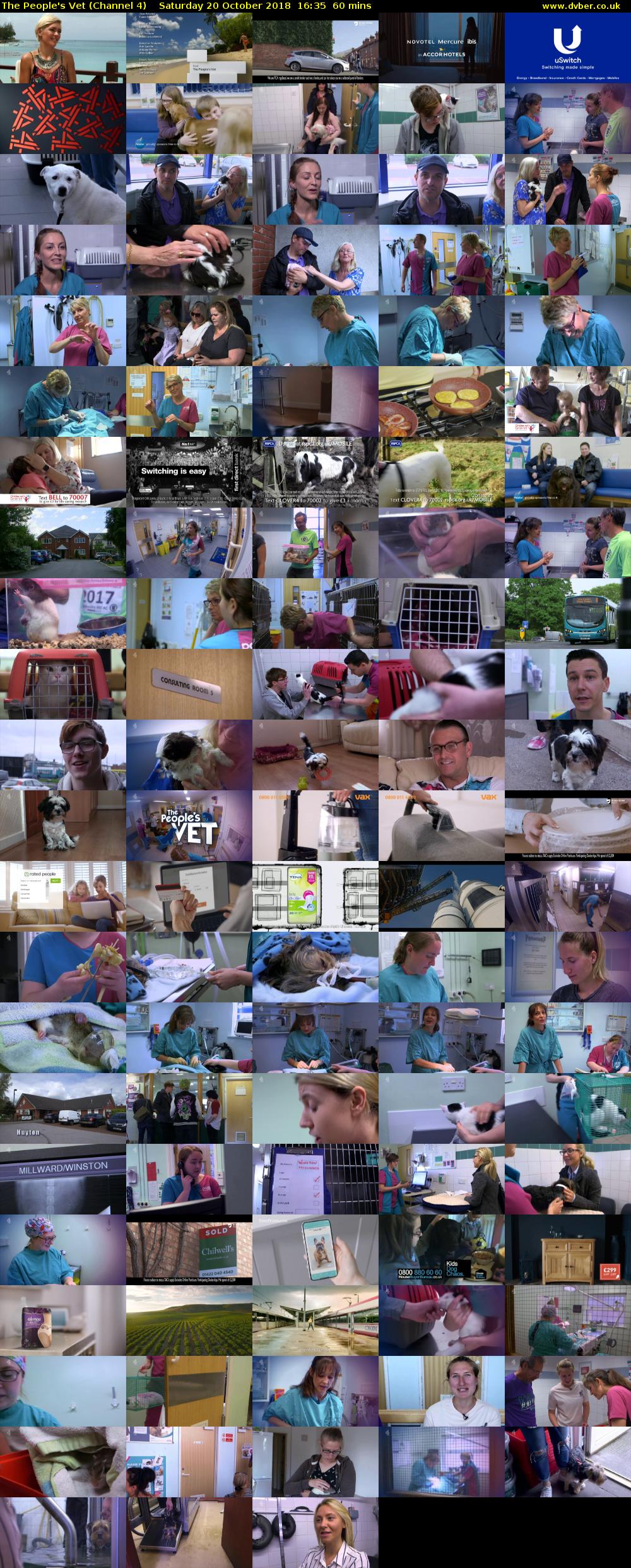 The People's Vet (Channel 4) Saturday 20 October 2018 16:35 - 17:35