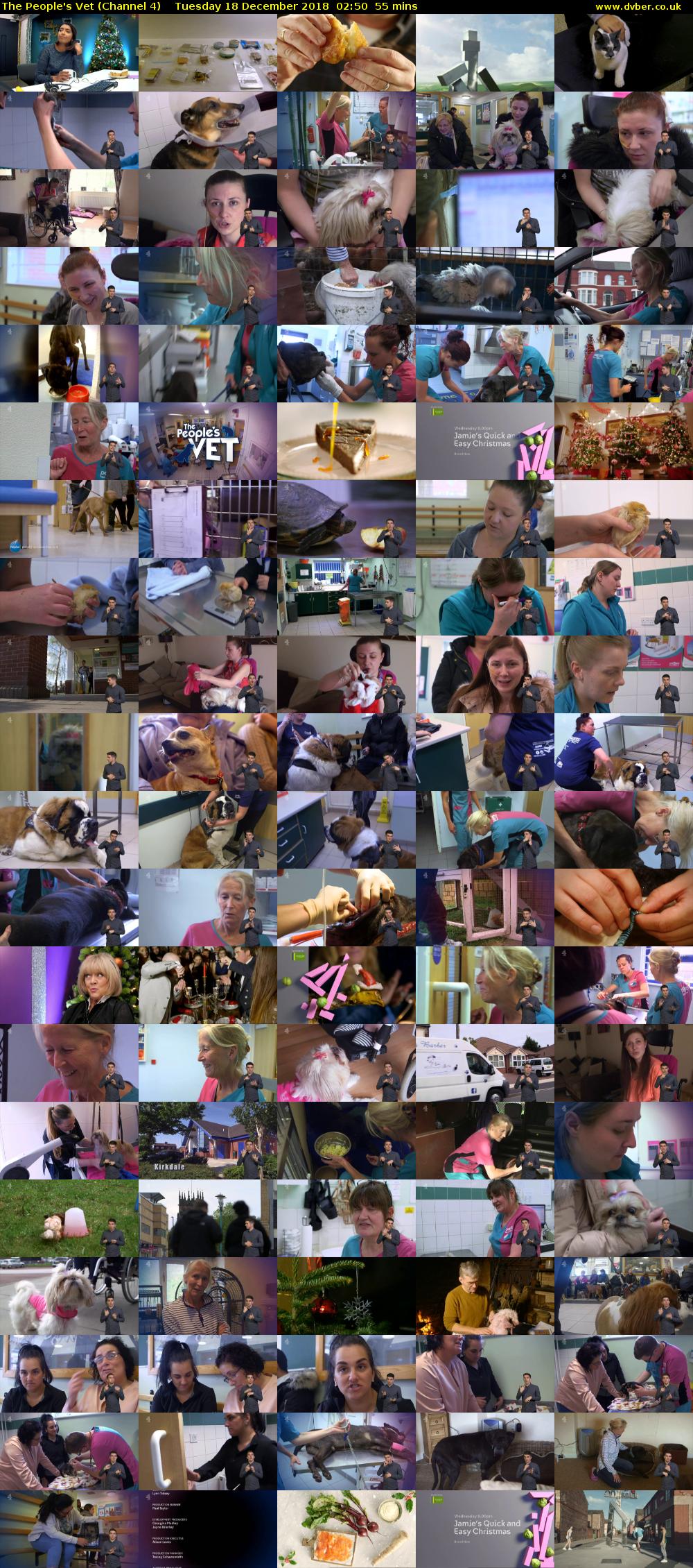 The People's Vet (Channel 4) Tuesday 18 December 2018 02:50 - 03:45
