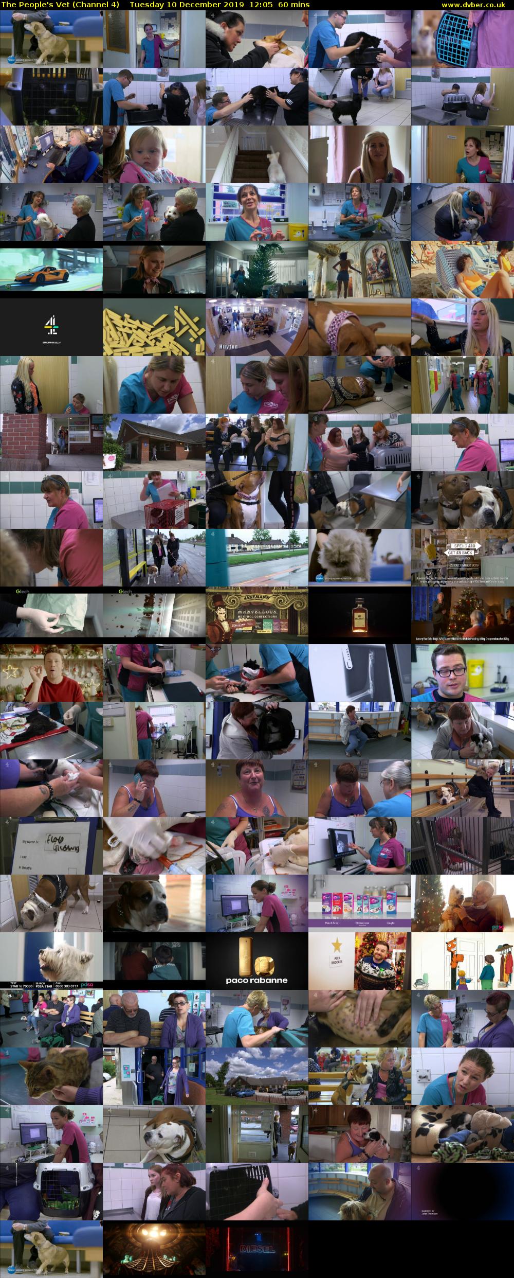 The People's Vet (Channel 4) Tuesday 10 December 2019 12:05 - 13:05