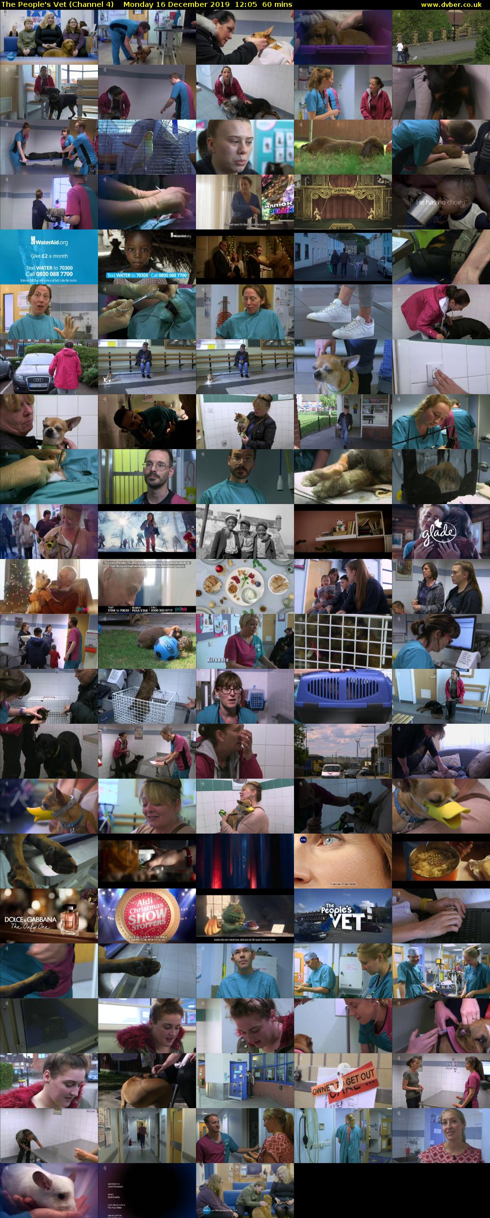 The People's Vet (Channel 4) Monday 16 December 2019 12:05 - 13:05
