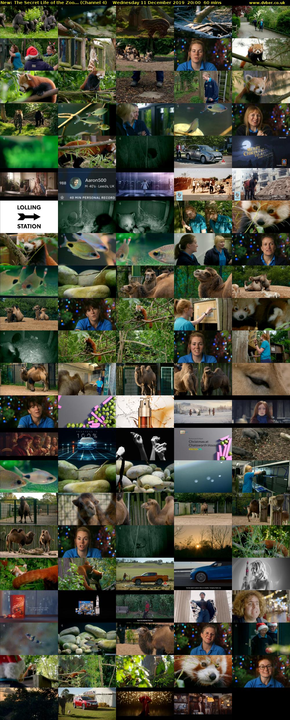 The Secret Life of the Zoo... (Channel 4) Wednesday 11 December 2019 20:00 - 21:00