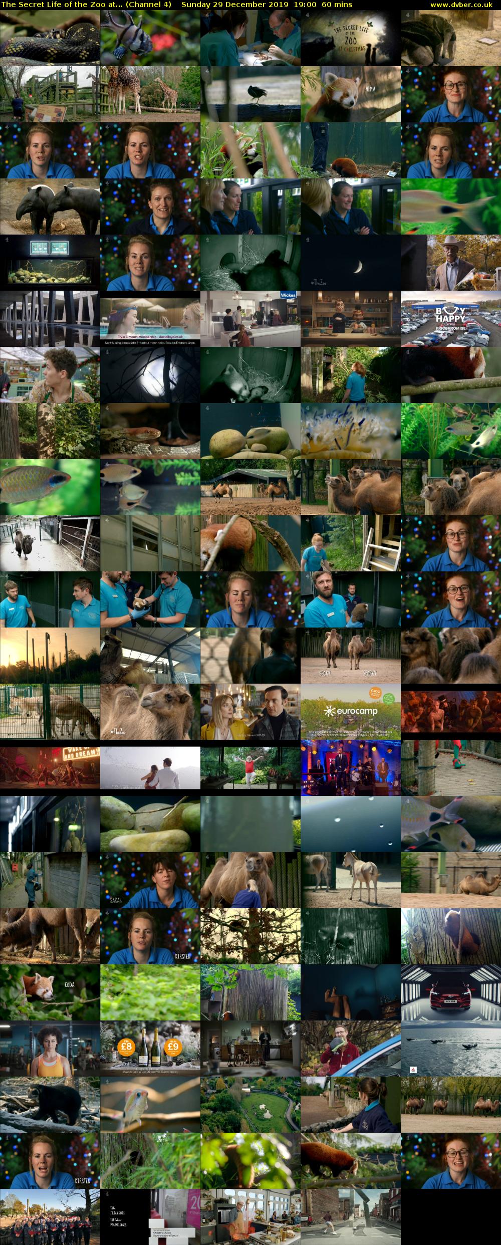 The Secret Life of the Zoo at... (Channel 4) Sunday 29 December 2019 19:00 - 20:00
