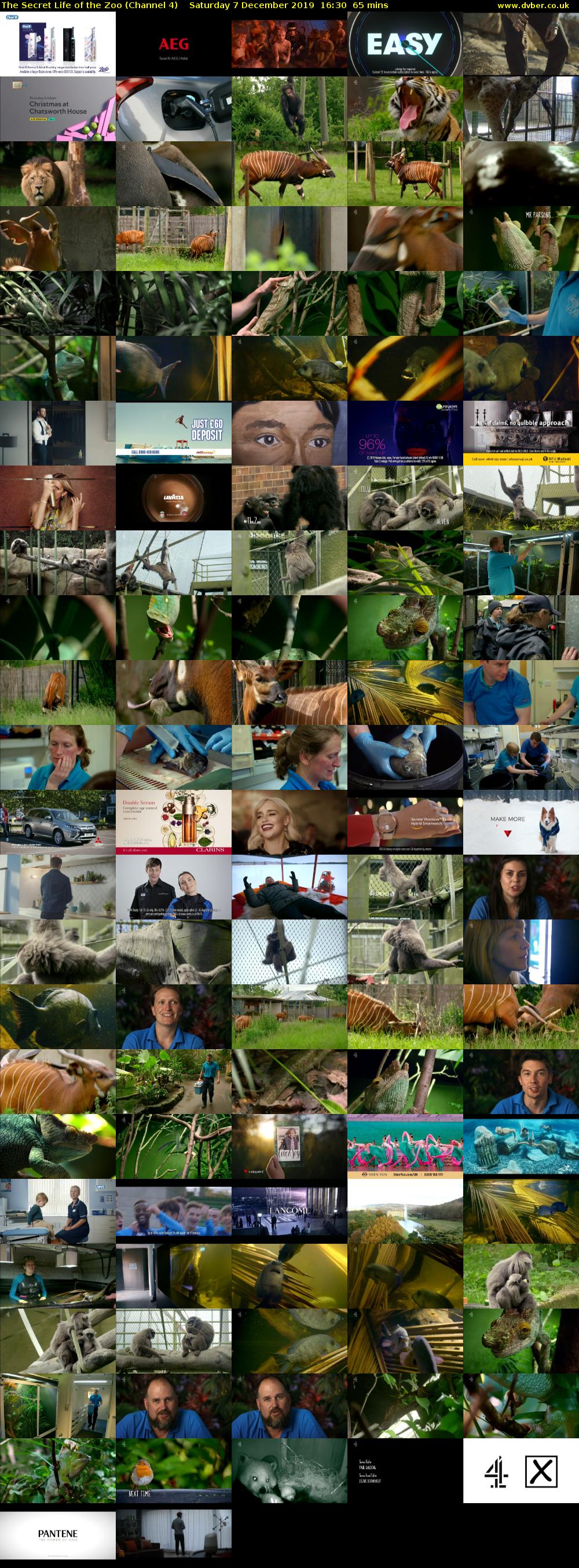 The Secret Life of the Zoo (Channel 4) Saturday 7 December 2019 16:30 - 17:35