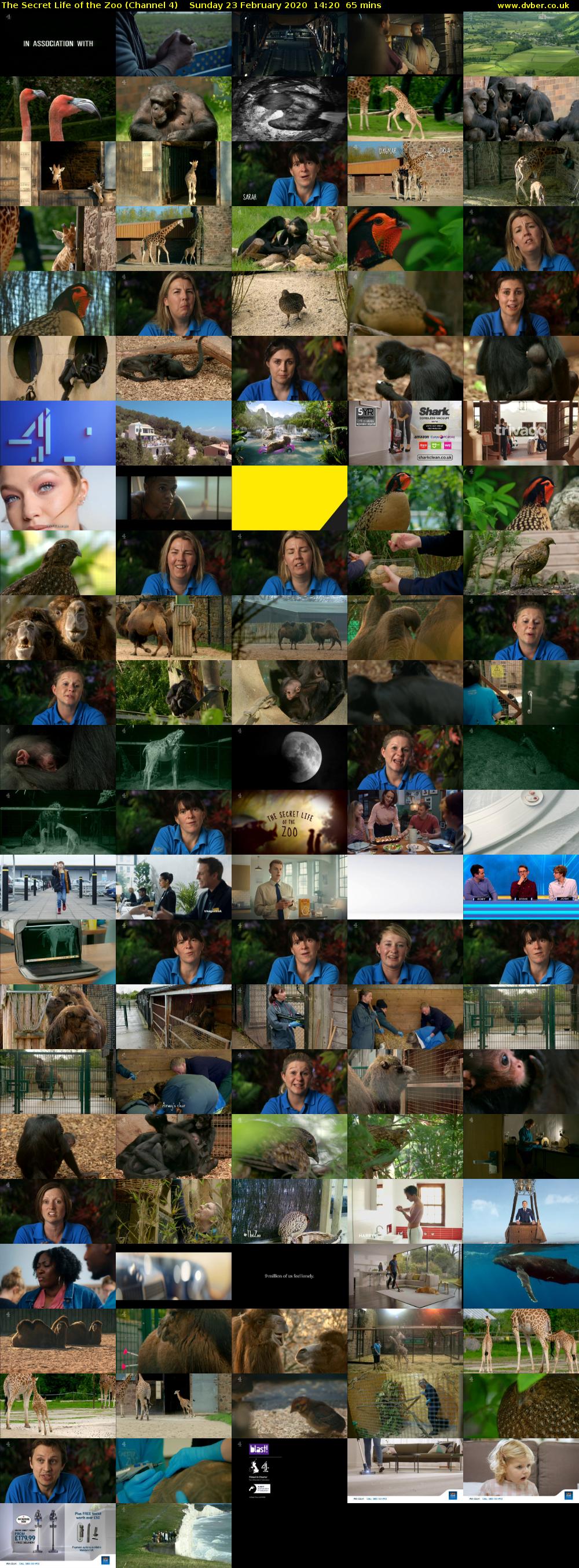 The Secret Life of the Zoo (Channel 4) Sunday 23 February 2020 14:20 - 15:25