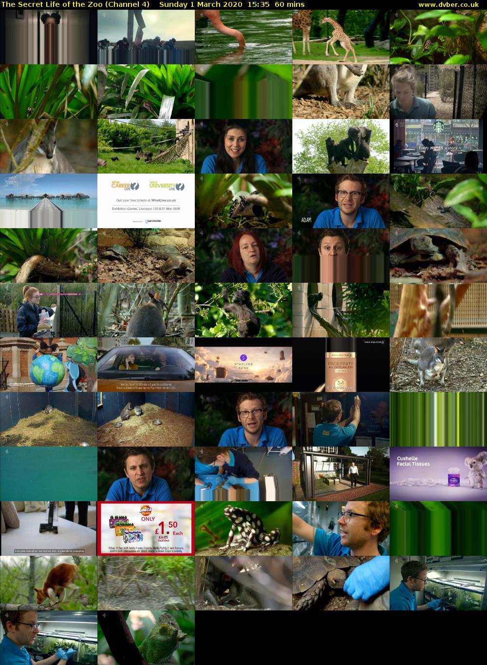 The Secret Life of the Zoo (Channel 4) Sunday 1 March 2020 15:35 - 16:35