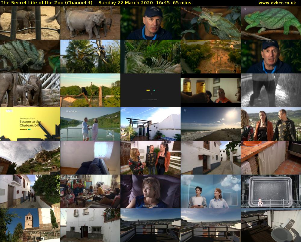 The Secret Life of the Zoo (Channel 4) Sunday 22 March 2020 16:45 - 17:50