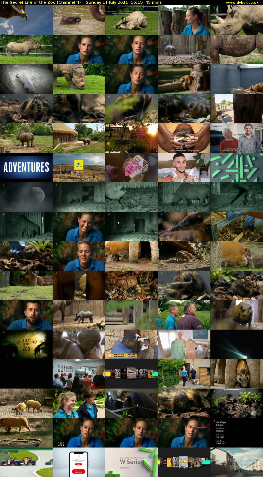The Secret Life of the Zoo (Channel 4) Sunday 11 July 2021 16:15 - 17:00