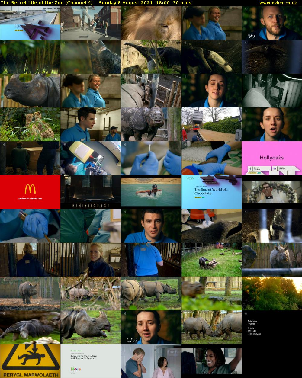 The Secret Life of the Zoo (Channel 4) Sunday 8 August 2021 18:00 - 18:30