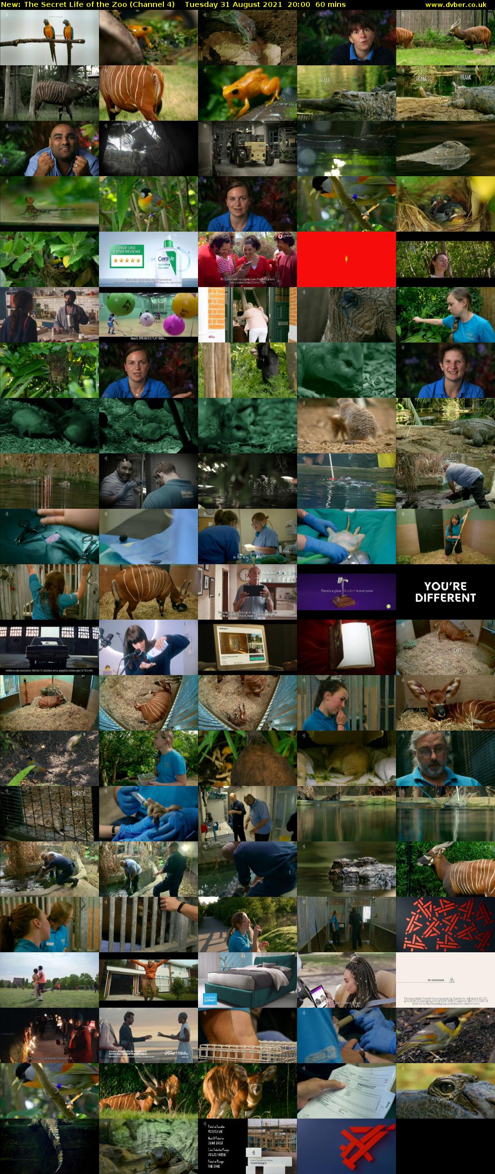 The Secret Life of the Zoo (Channel 4) Tuesday 31 August 2021 20:00 - 21:00