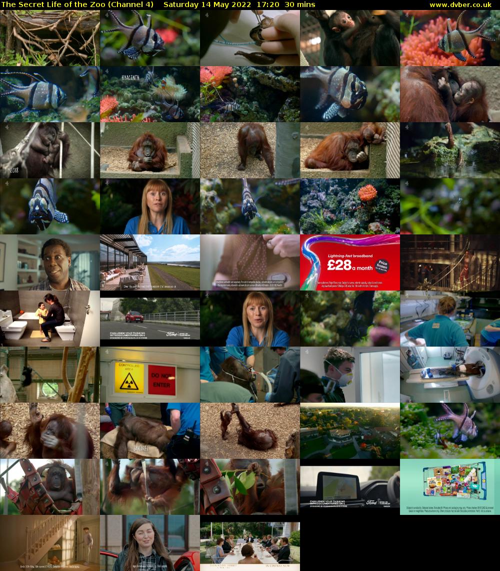 The Secret Life of the Zoo (Channel 4) Saturday 14 May 2022 17:20 - 17:50