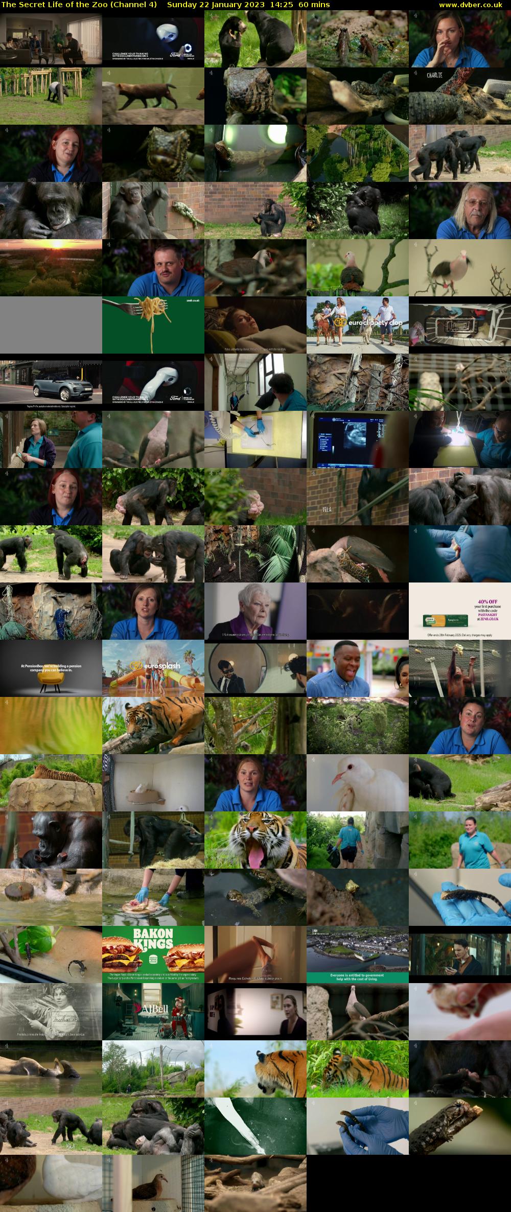 The Secret Life of the Zoo (Channel 4) Sunday 22 January 2023 14:25 - 15:25