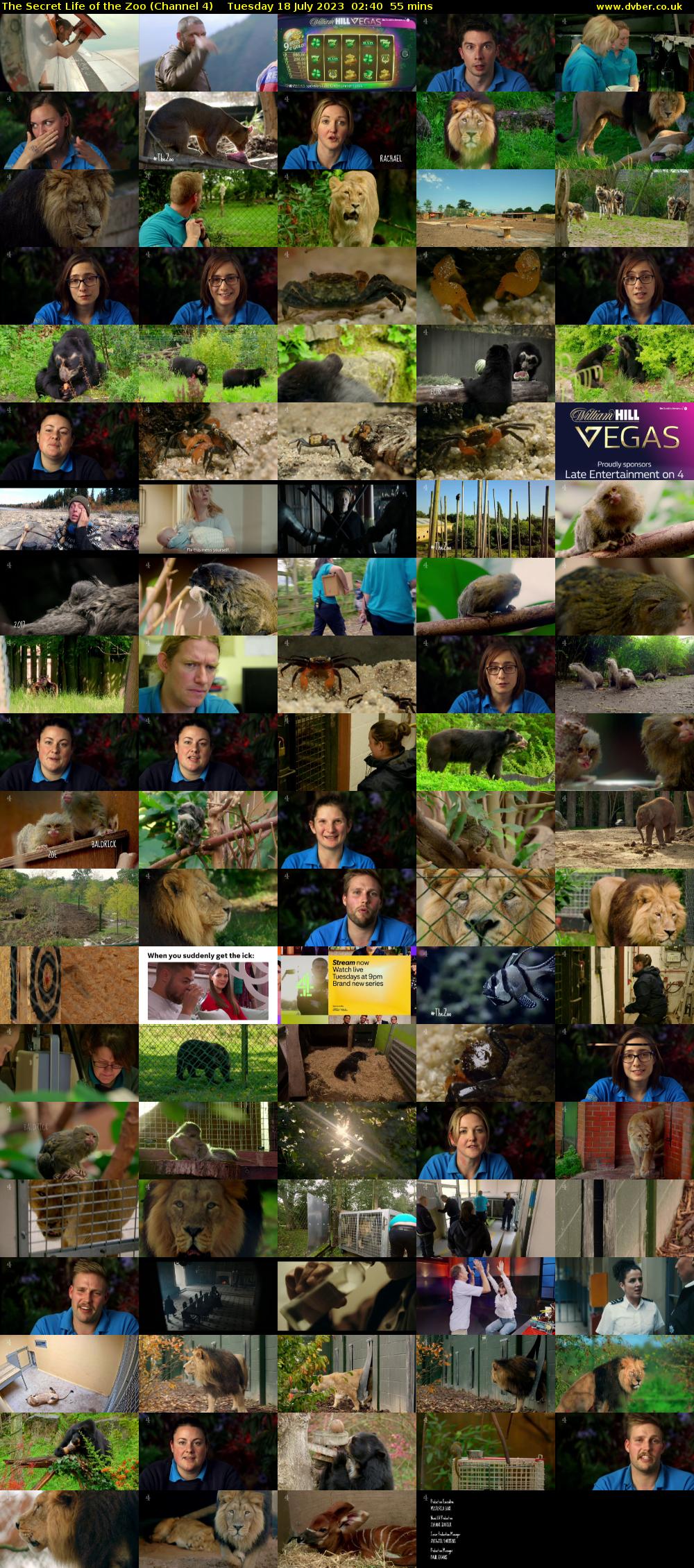 The Secret Life of the Zoo (Channel 4) Tuesday 18 July 2023 02:40 - 03:35