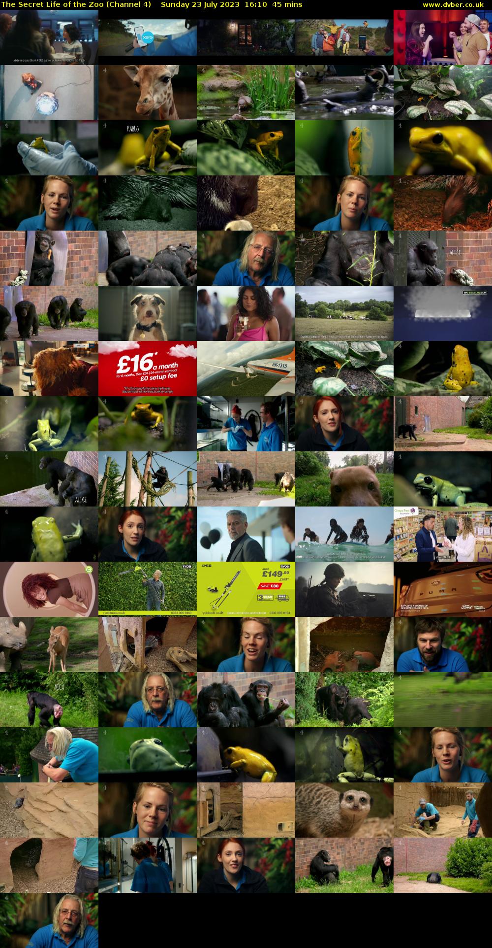 The Secret Life of the Zoo (Channel 4) Sunday 23 July 2023 16:10 - 16:55
