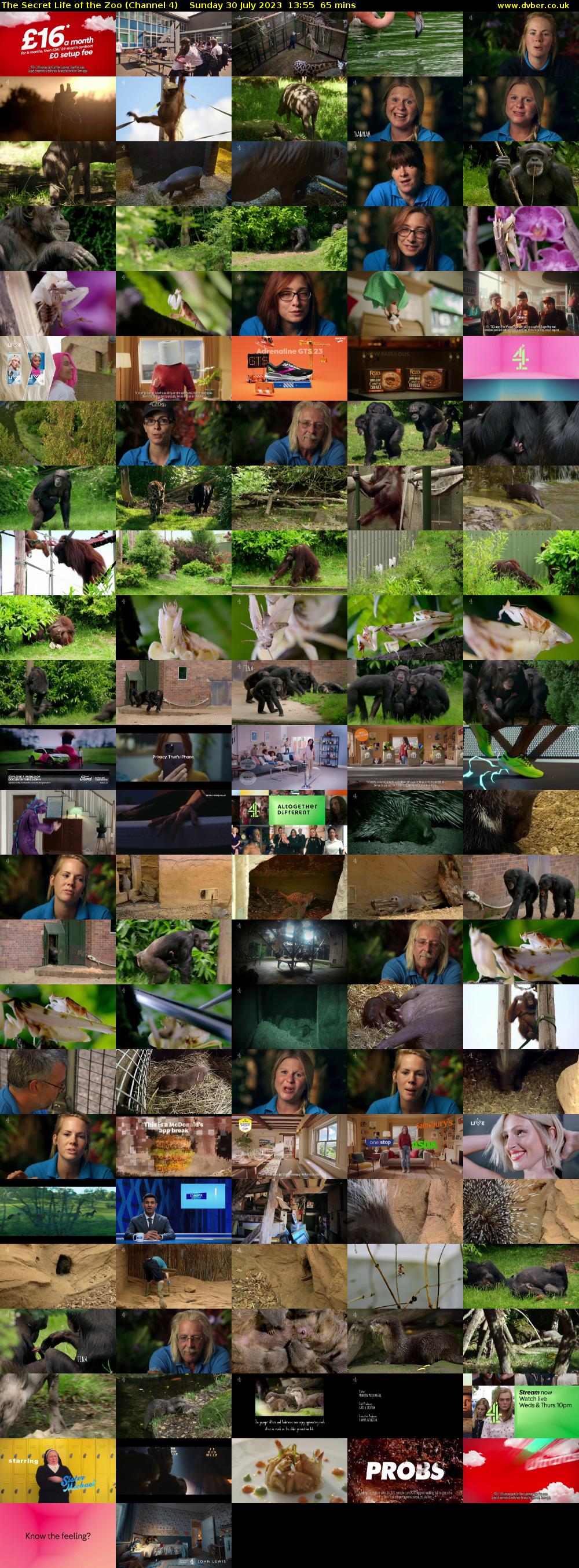 The Secret Life of the Zoo (Channel 4) Sunday 30 July 2023 13:55 - 15:00