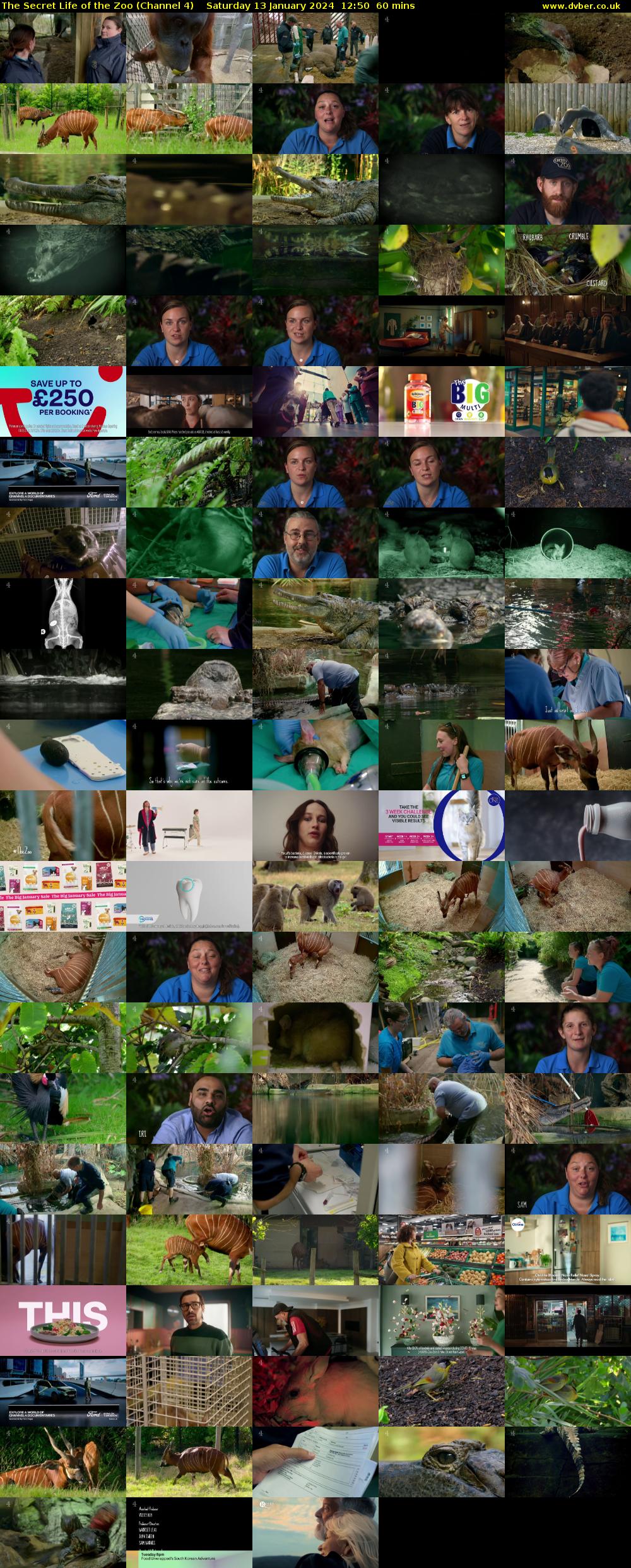 The Secret Life of the Zoo (Channel 4) Saturday 13 January 2024 12:50 - 13:50