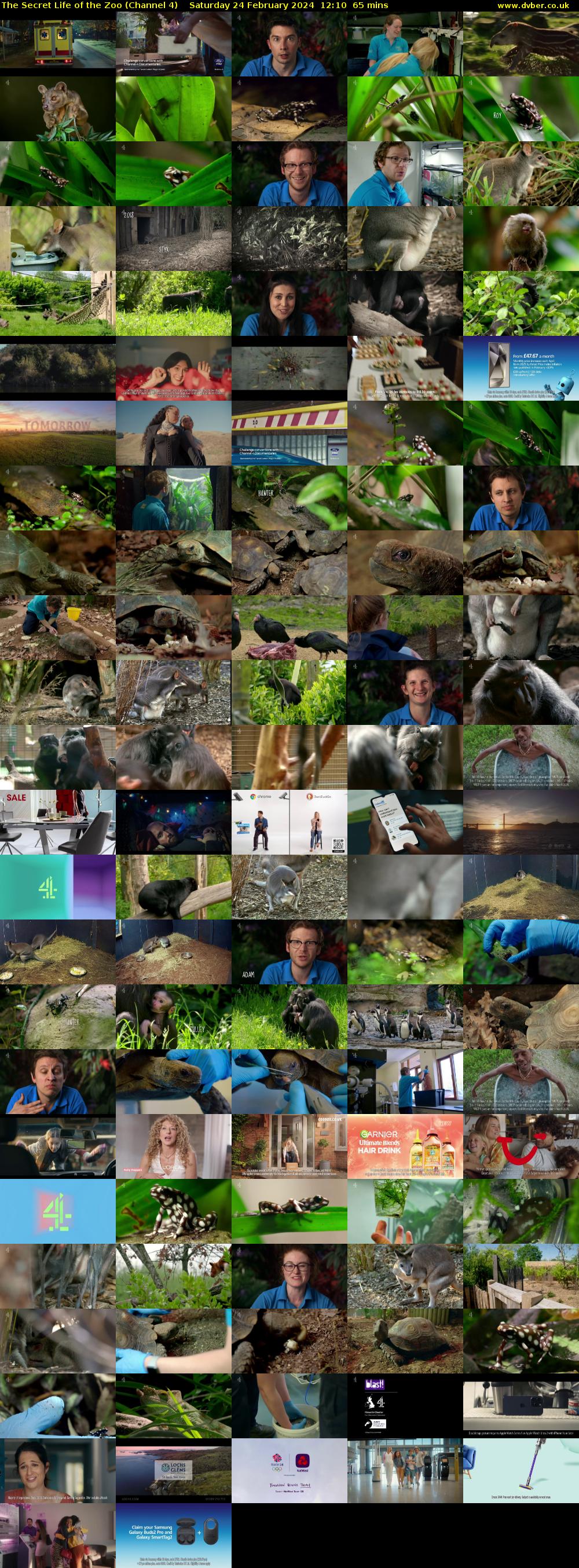 The Secret Life of the Zoo (Channel 4) Saturday 24 February 2024 12:10 - 13:15