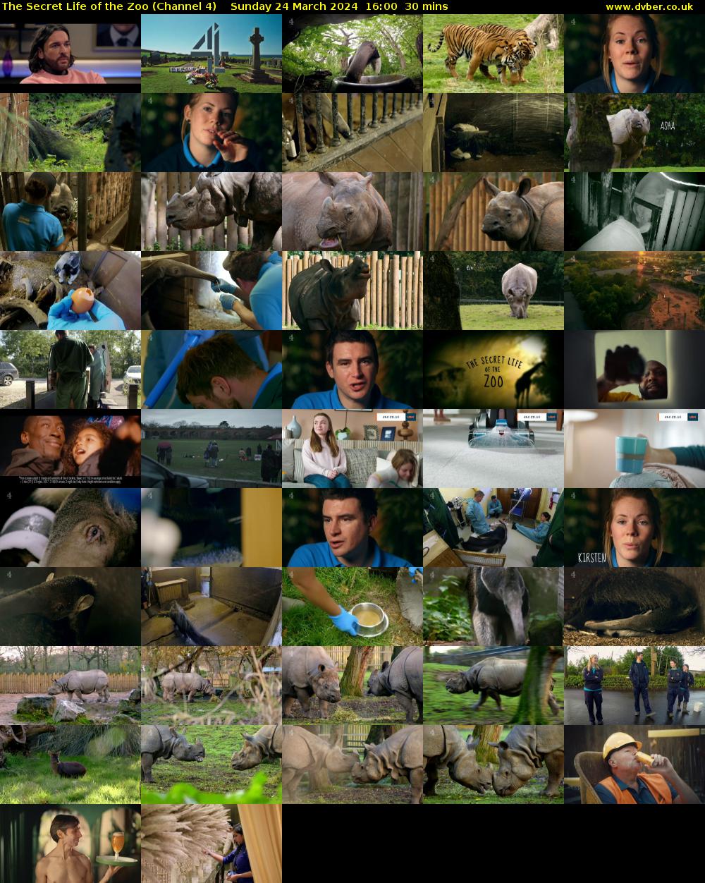 The Secret Life of the Zoo (Channel 4) Sunday 24 March 2024 16:00 - 16:30