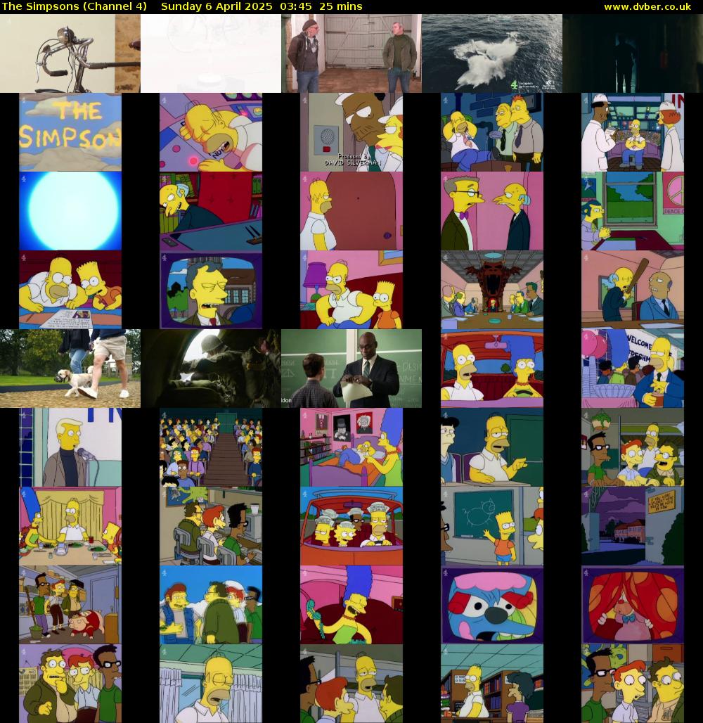 The Simpsons (Channel 4) Sunday 6 April 2025 03:45 - 04:10