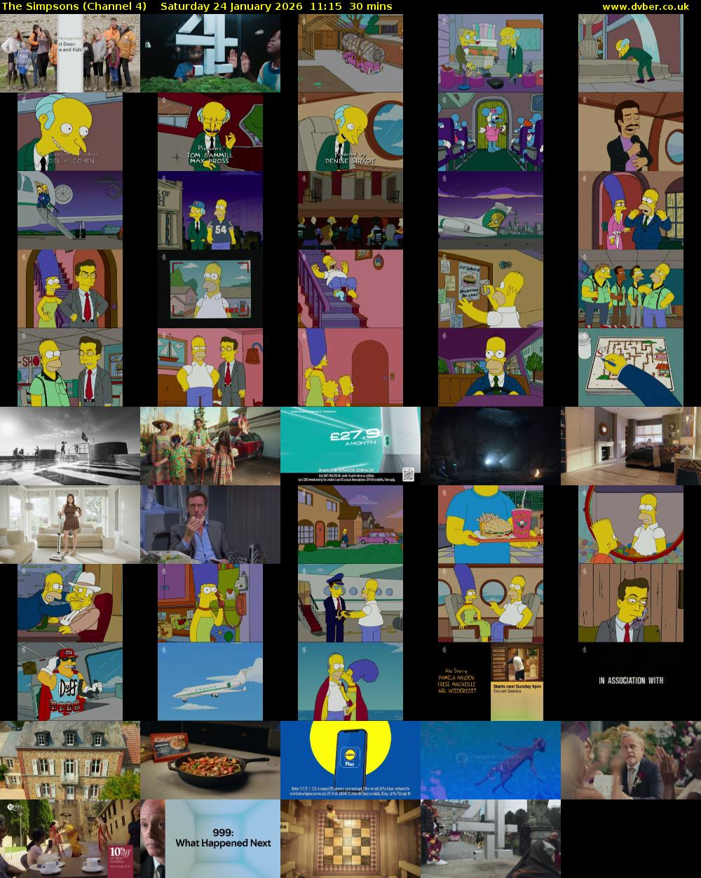 The Simpsons (Channel 4) Saturday 24 January 2026 11:15 - 11:45