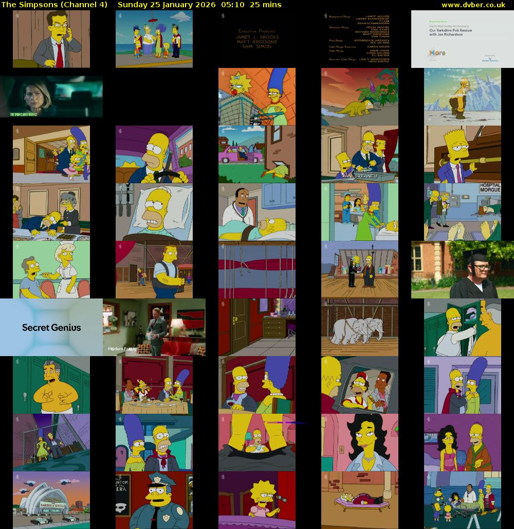 The Simpsons (Channel 4) Sunday 25 January 2026 05:10 - 05:35