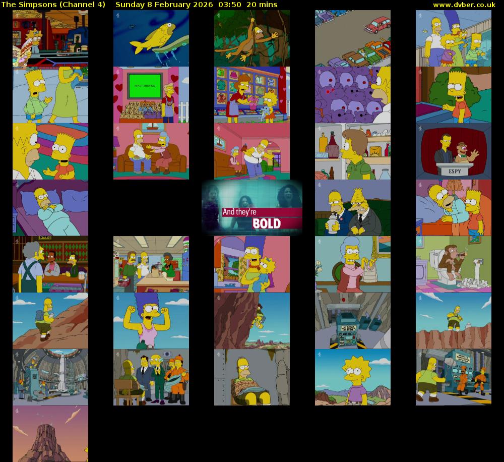The Simpsons (Channel 4) Sunday 8 February 2026 03:50 - 04:10