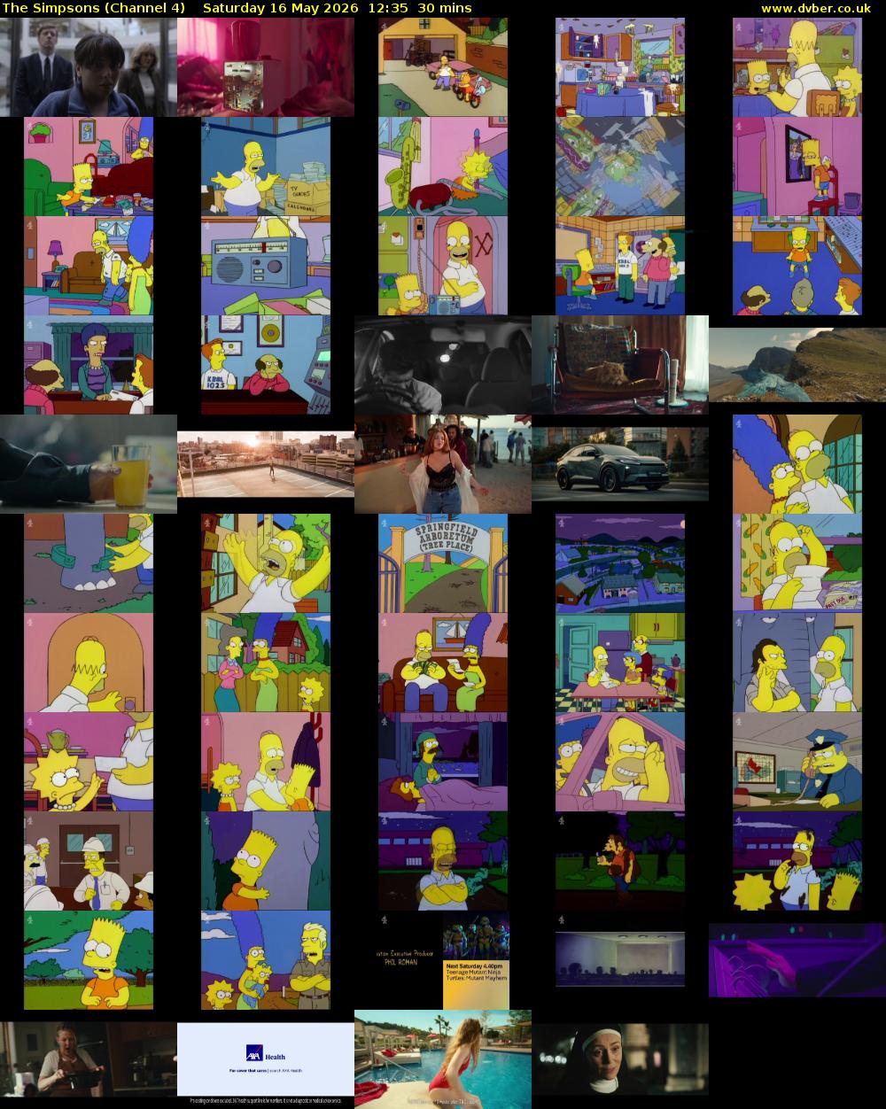 The Simpsons (Channel 4) Saturday 16 May 2026 12:35 - 13:05