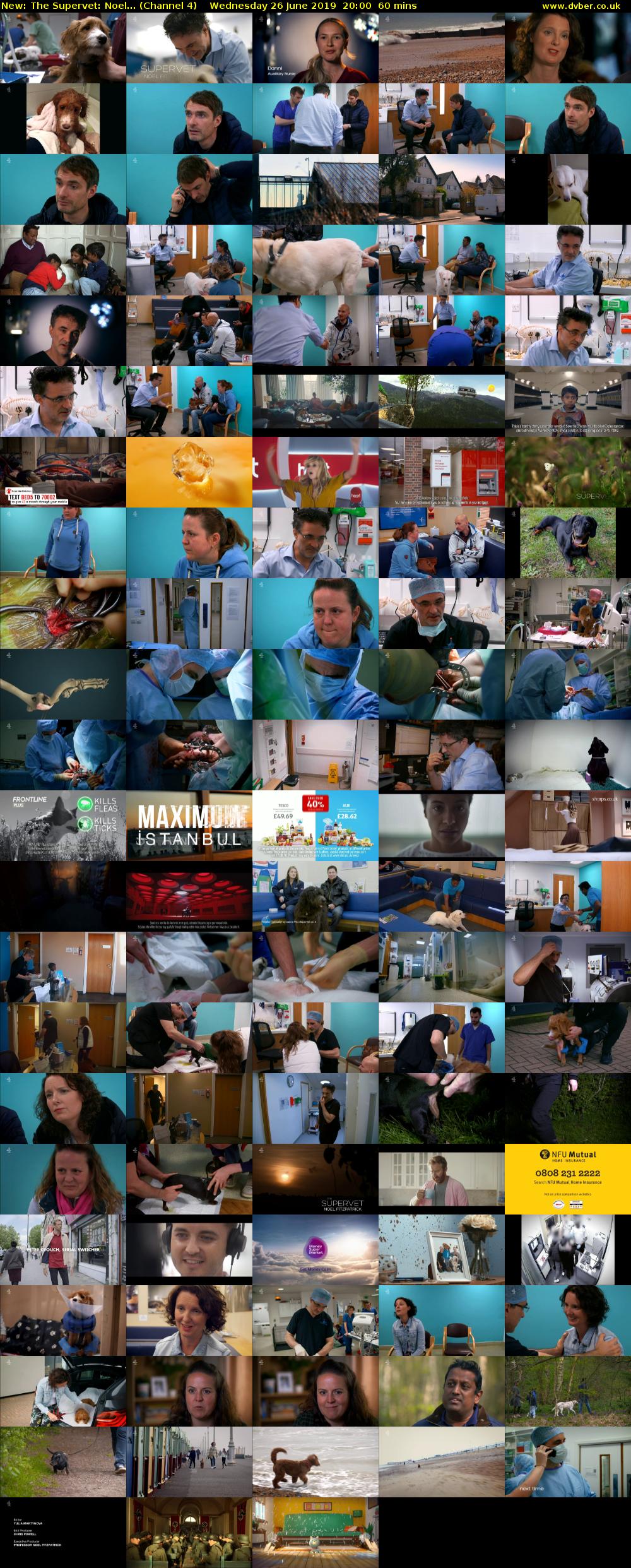 The Supervet: Noel... (Channel 4) Wednesday 26 June 2019 20:00 - 21:00