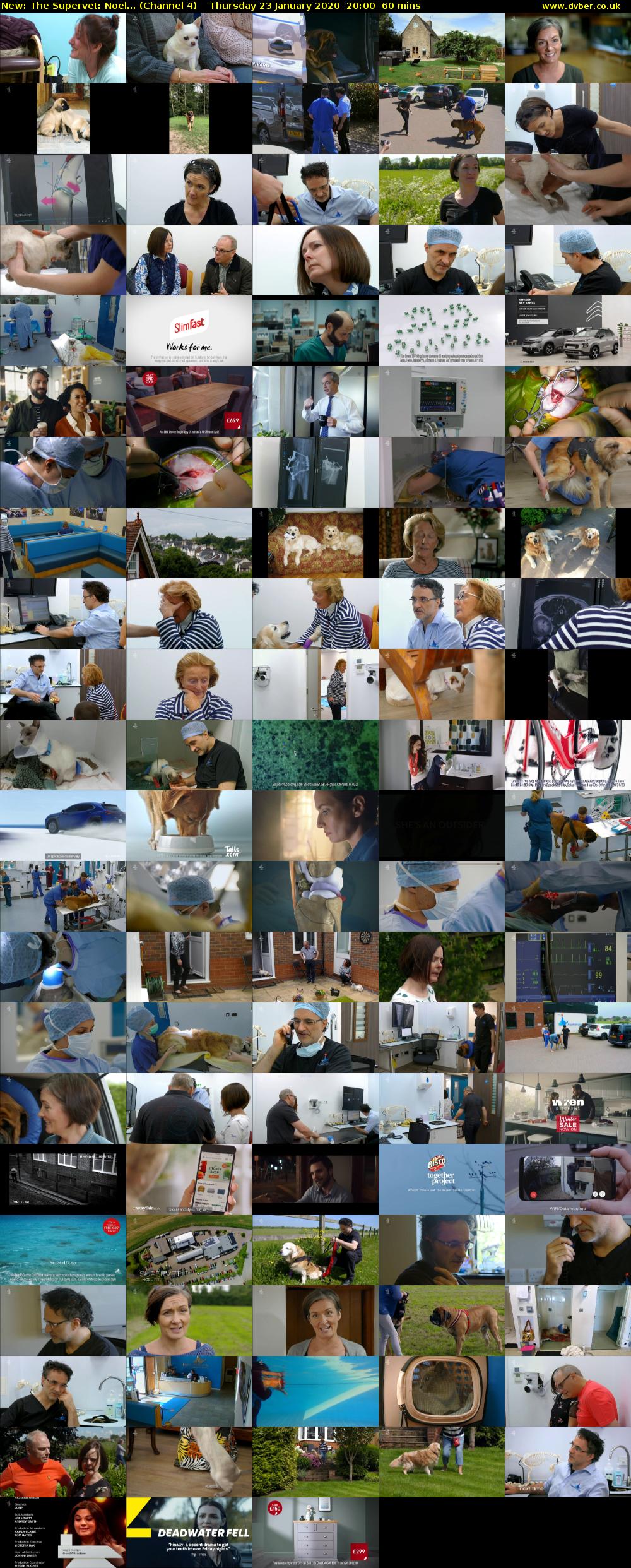 The Supervet: Noel... (Channel 4) Thursday 23 January 2020 20:00 - 21:00