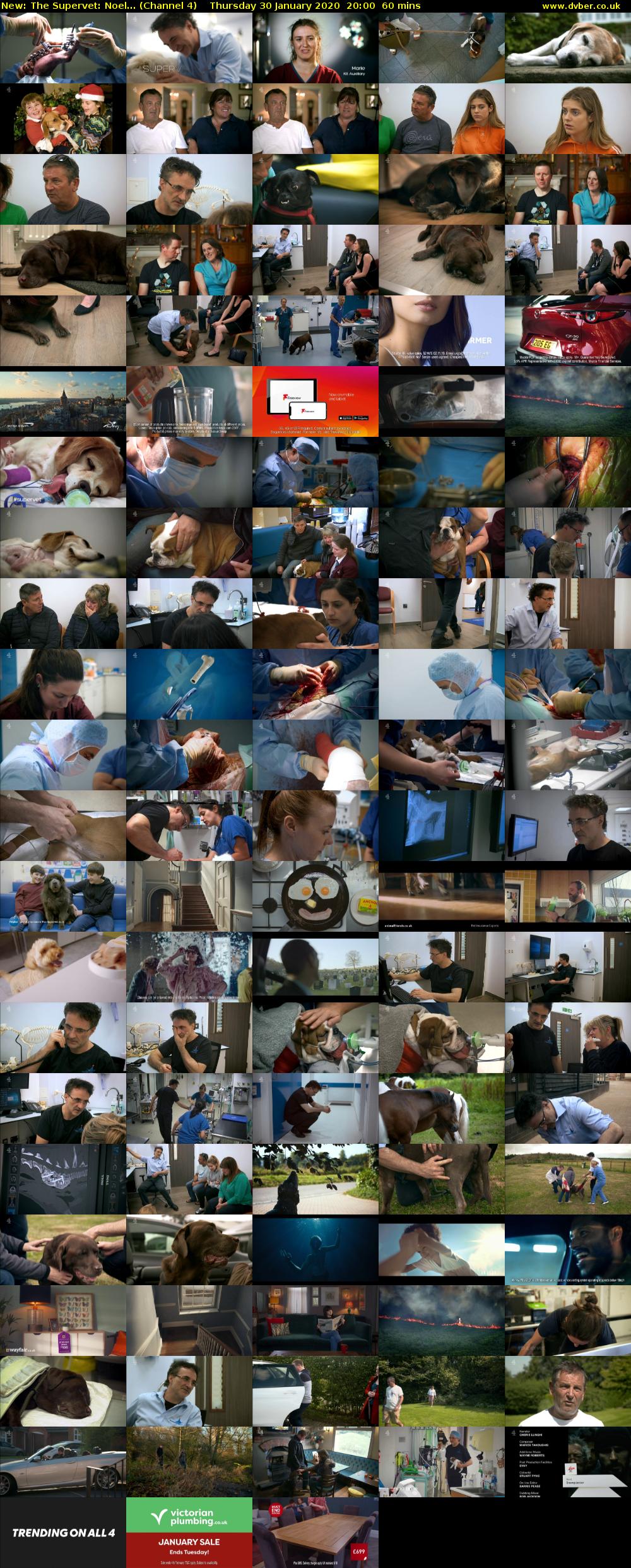 The Supervet: Noel... (Channel 4) Thursday 30 January 2020 20:00 - 21:00