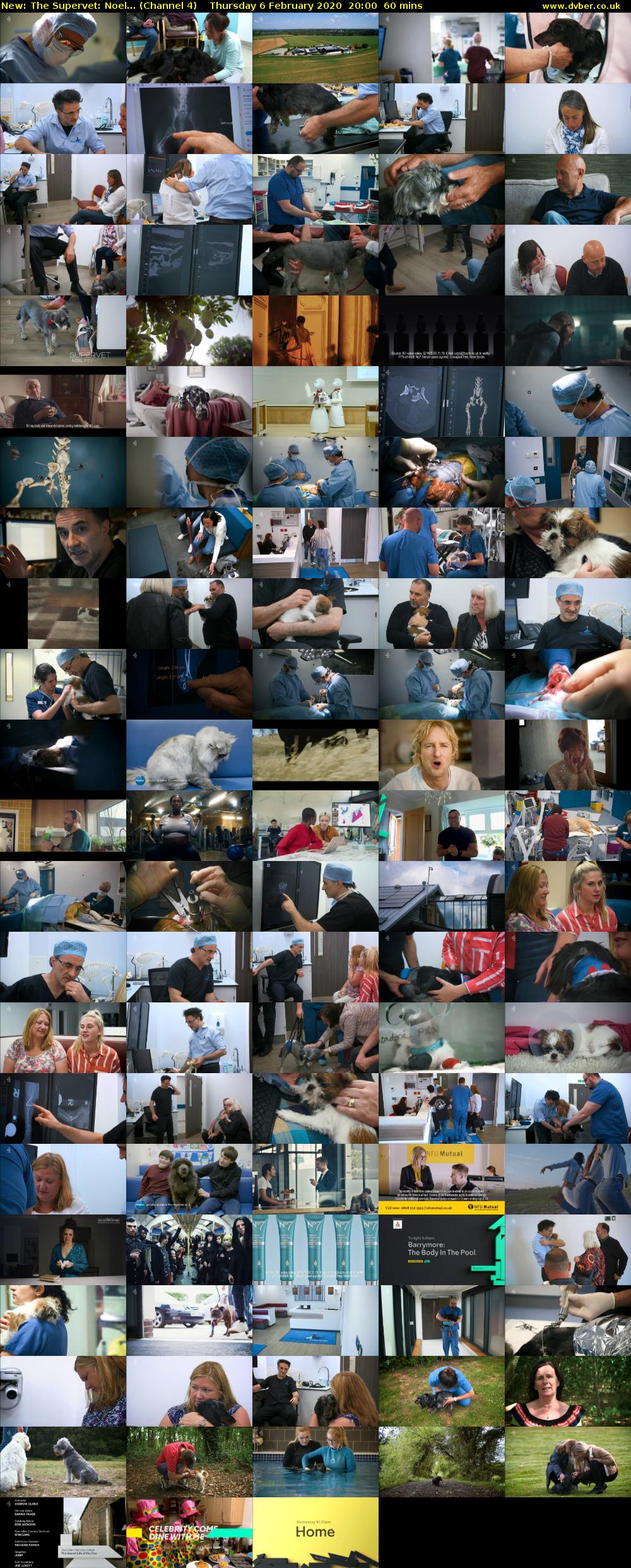 The Supervet: Noel... (Channel 4) Thursday 6 February 2020 20:00 - 21:00