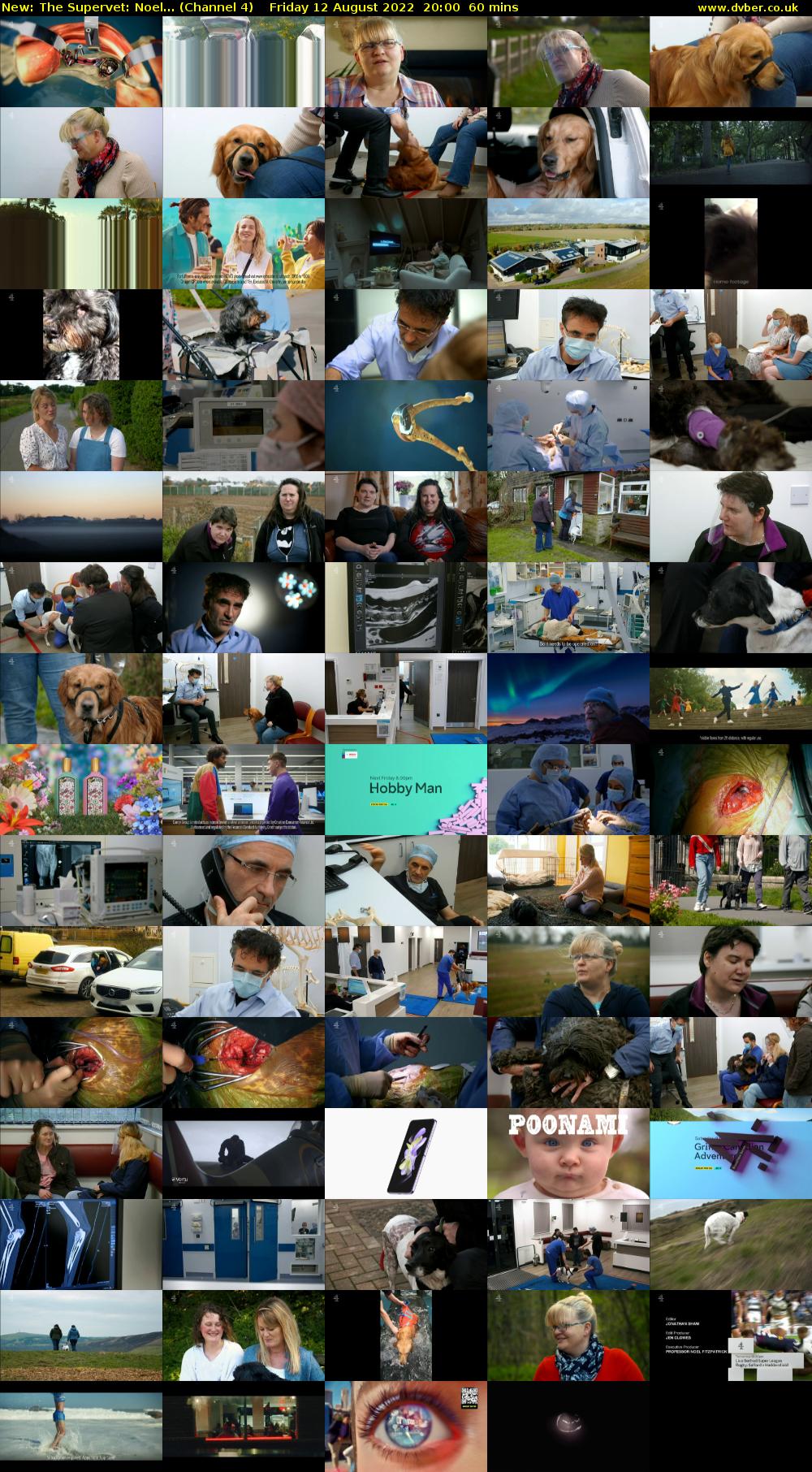 The Supervet: Noel... (Channel 4) Friday 12 August 2022 20:00 - 21:00