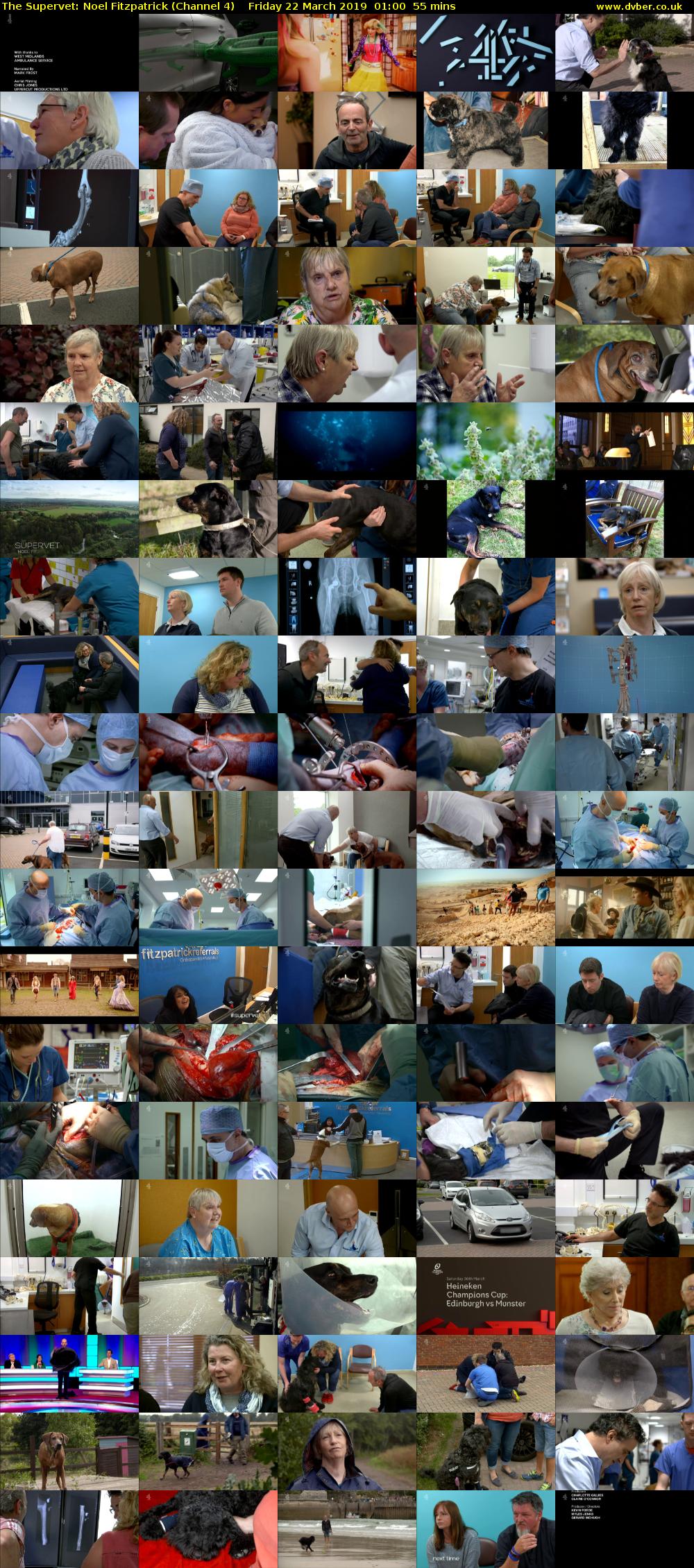 The Supervet: Noel Fitzpatrick (Channel 4) Friday 22 March 2019 01:00 - 01:55