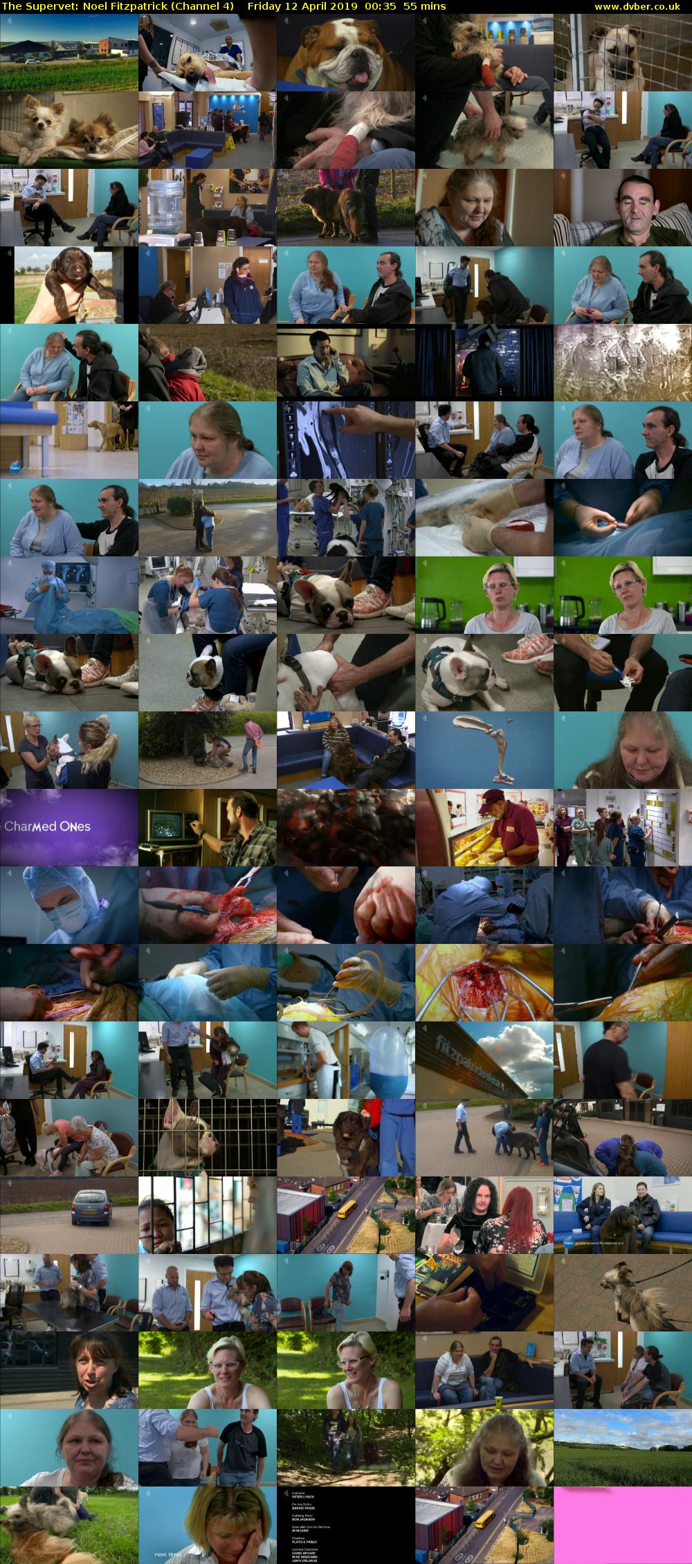 The Supervet: Noel Fitzpatrick (Channel 4) Friday 12 April 2019 00:35 - 01:30
