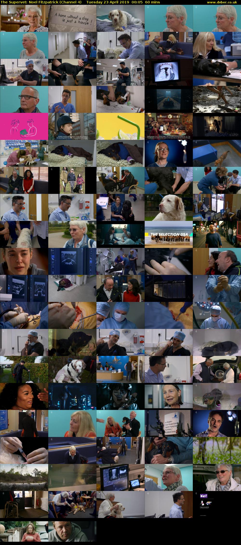 The Supervet: Noel Fitzpatrick (Channel 4) Tuesday 23 April 2019 00:05 - 01:05