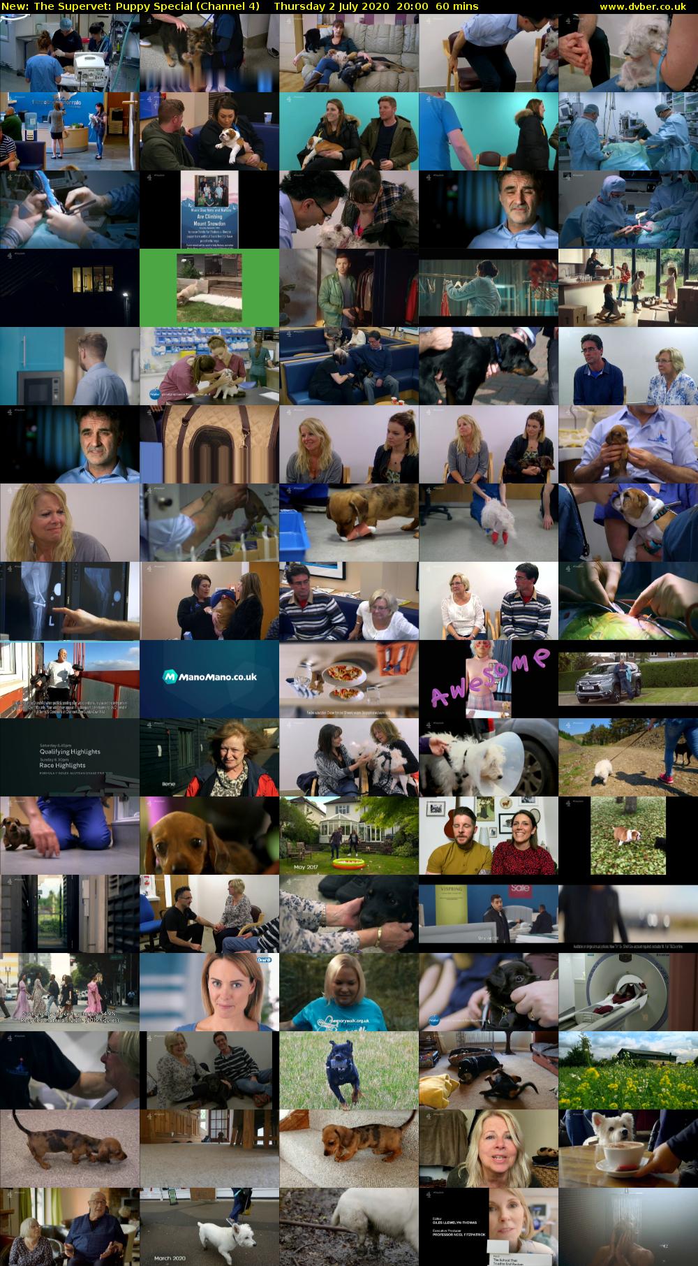 The Supervet: Puppy Special (Channel 4) Thursday 2 July 2020 20:00 - 21:00