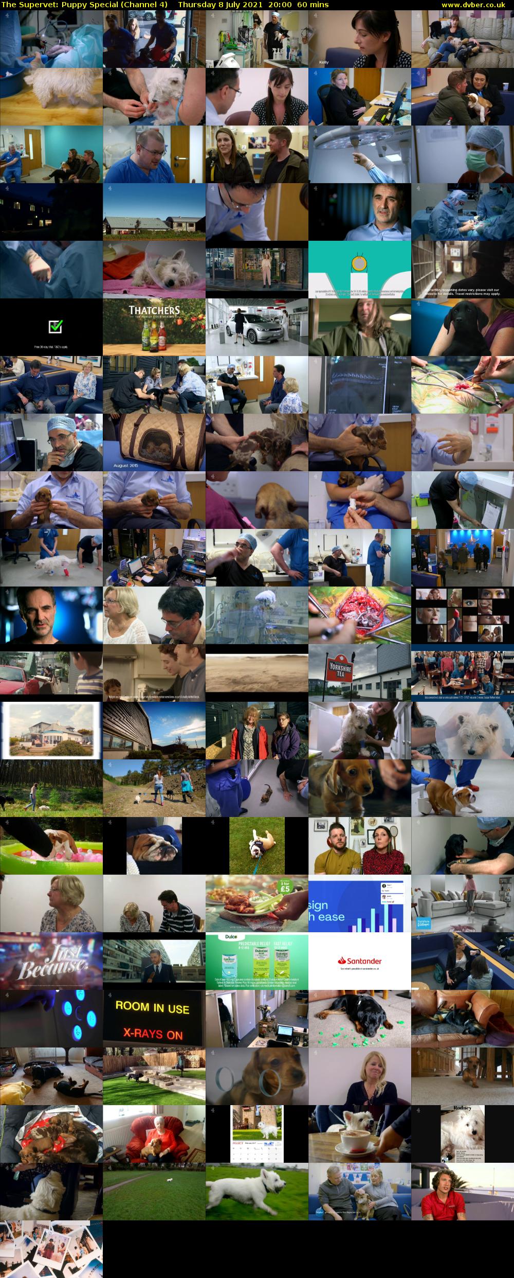 The Supervet: Puppy Special (Channel 4) Thursday 8 July 2021 20:00 - 21:00