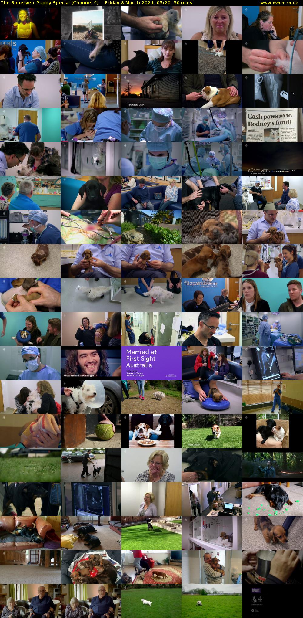 The Supervet: Puppy Special (Channel 4) Friday 8 March 2024 05:20 - 06:10