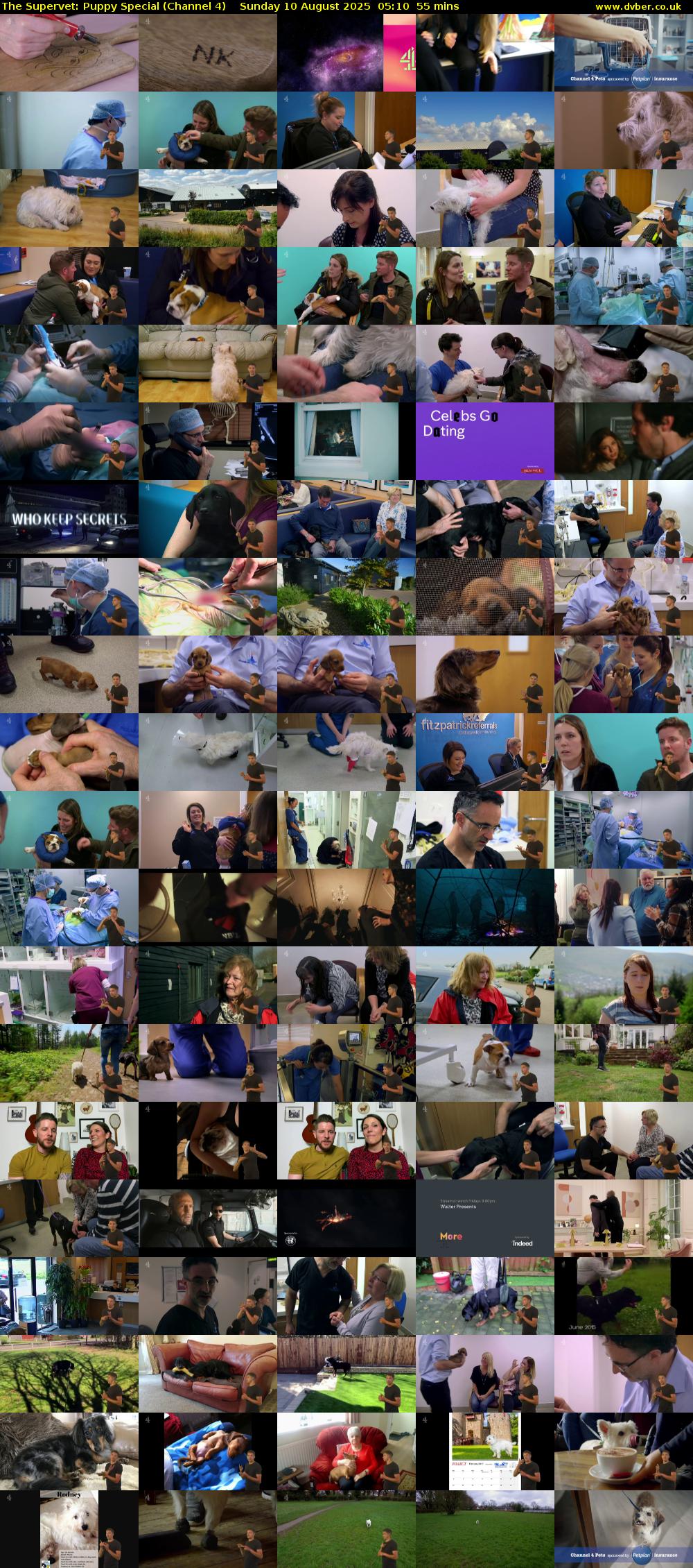 The Supervet: Puppy Special (Channel 4) Sunday 10 August 2025 05:10 - 06:05